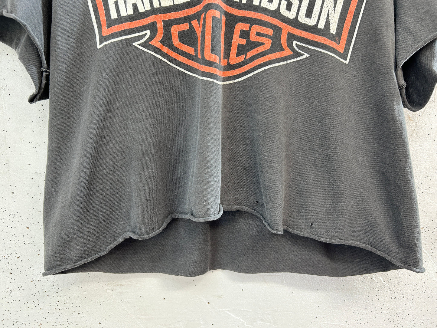 Vintage T-Shirt 〜Harley Davidson〜 [H33523]