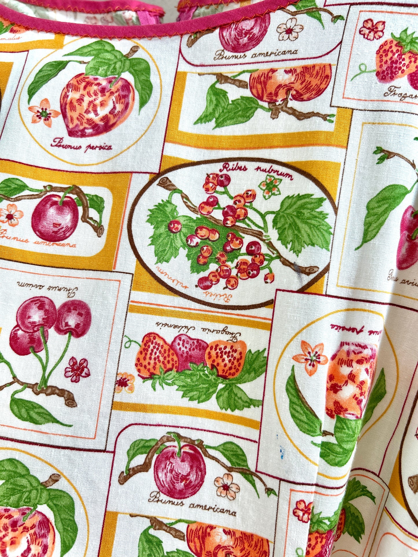 Vintage Apron[H30750]