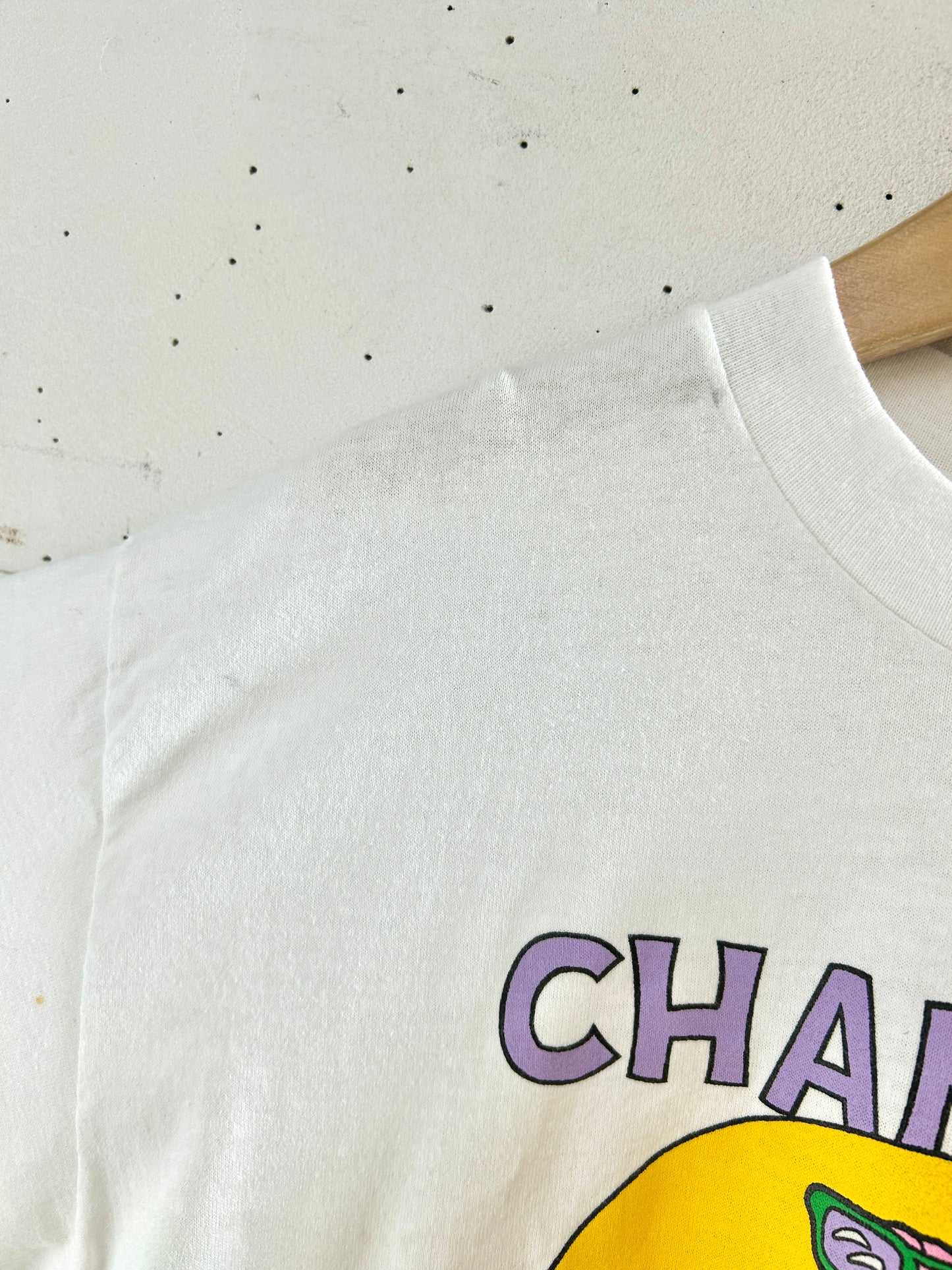 Vintage T-Shirt MADE IN USA [F32561]