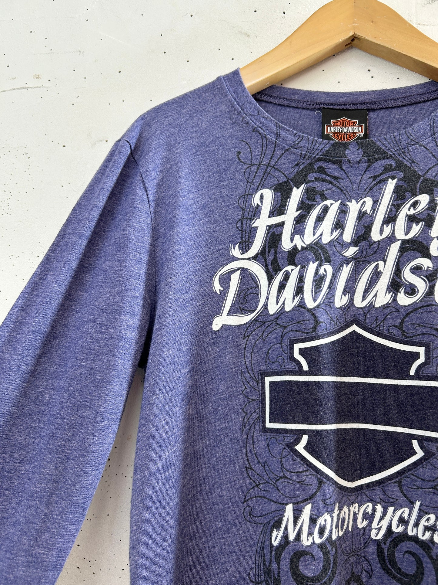 Vintage Long Sleeve Shirt 〜Harley Davidson〜 [H33516]