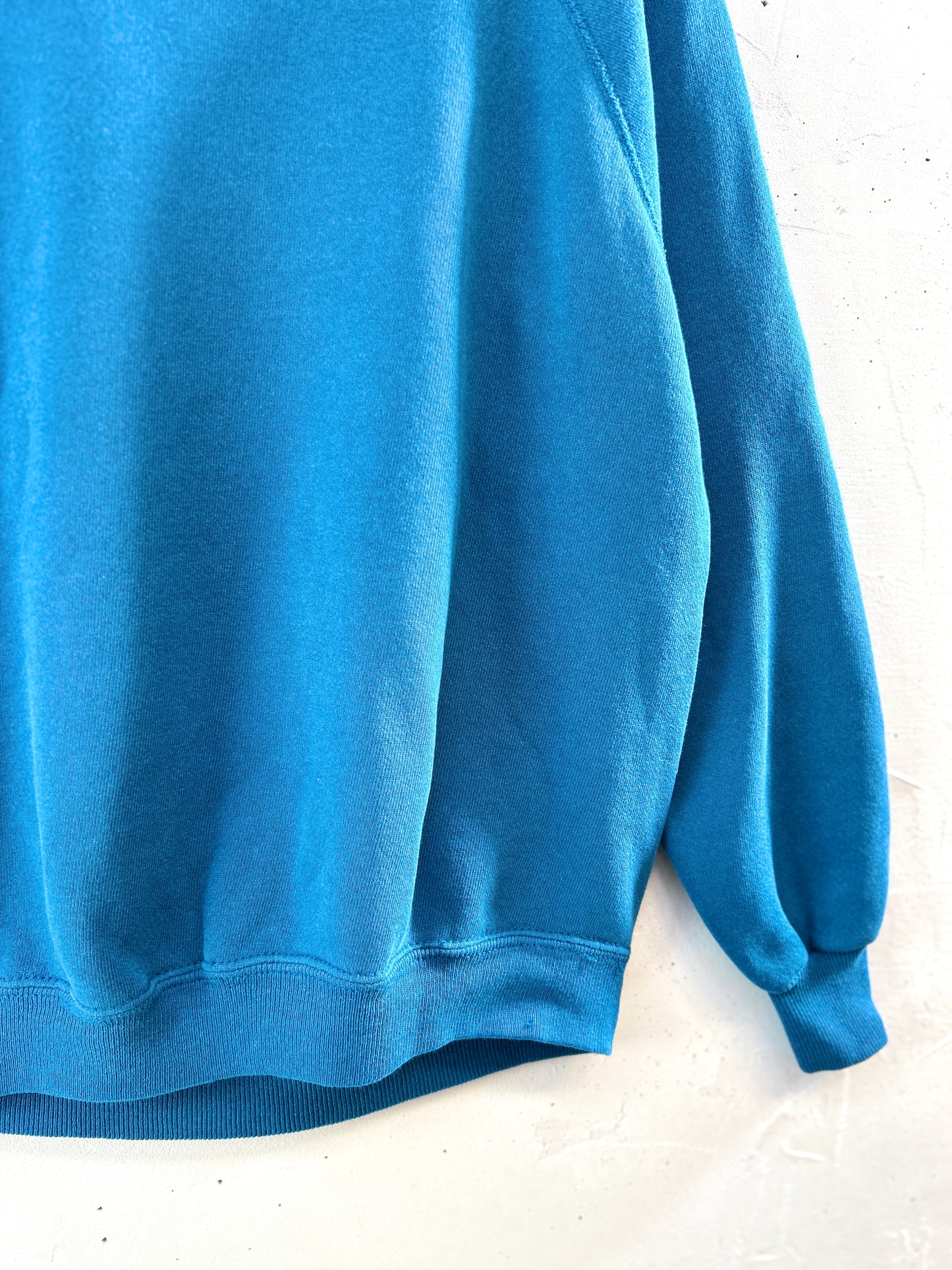 Vintage Sweat MADE IN USA [K30738]