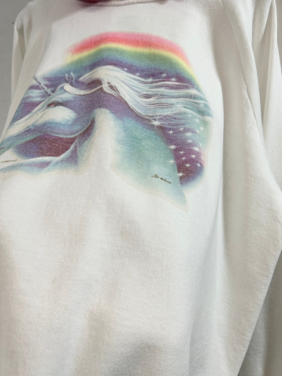 Vintage Sweat [C31941]