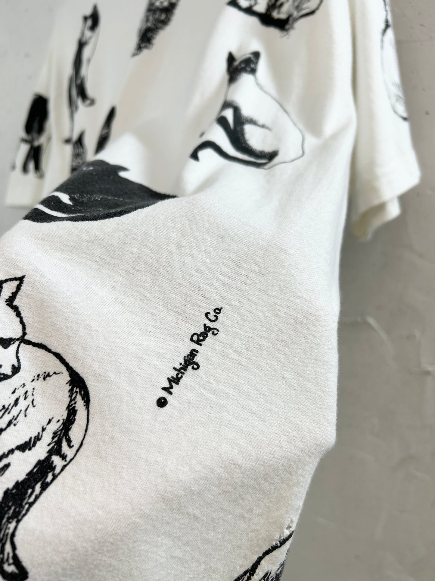 Vintage T Shirt 〜MICHIGAN RAG〜 MADE IN USA [H33614]