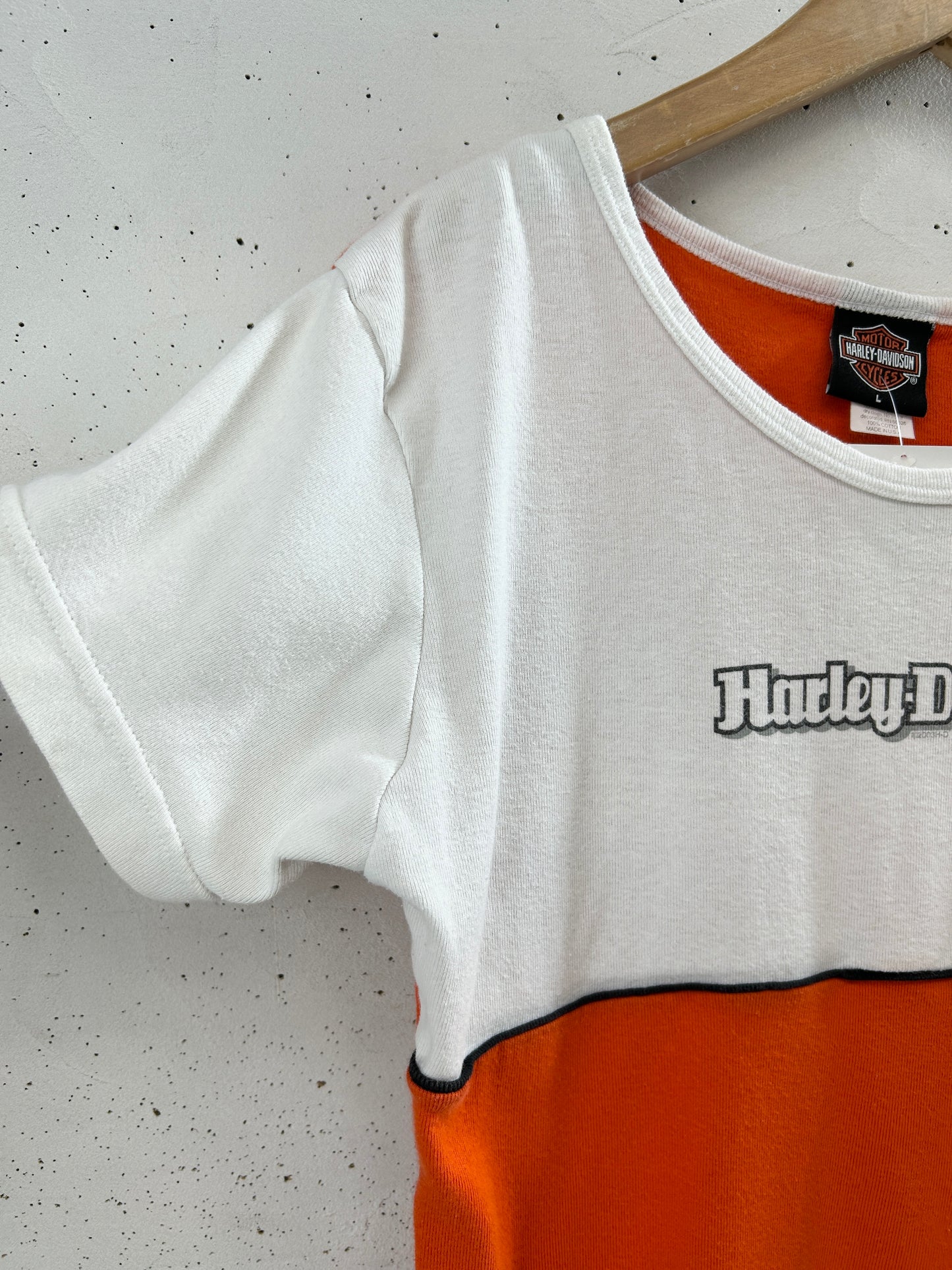 Vintage T-Shirt 〜Harley Davidson〜 [G33026]