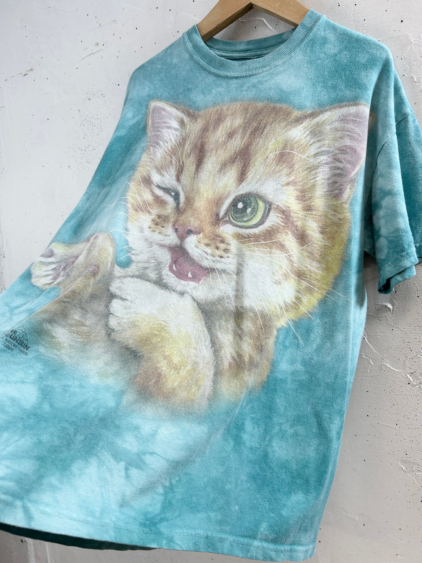 Vintage T-Shirt 〜The Mountain〜 [H33563]