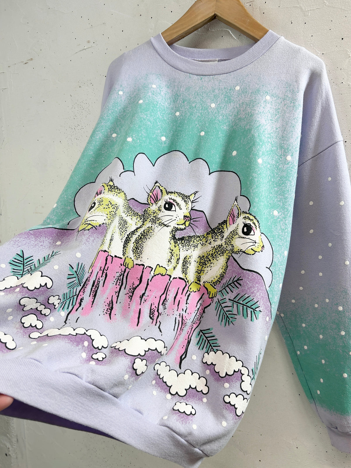 Vintage Sweat 〜MADE IN CANADA〜 [J34177]
