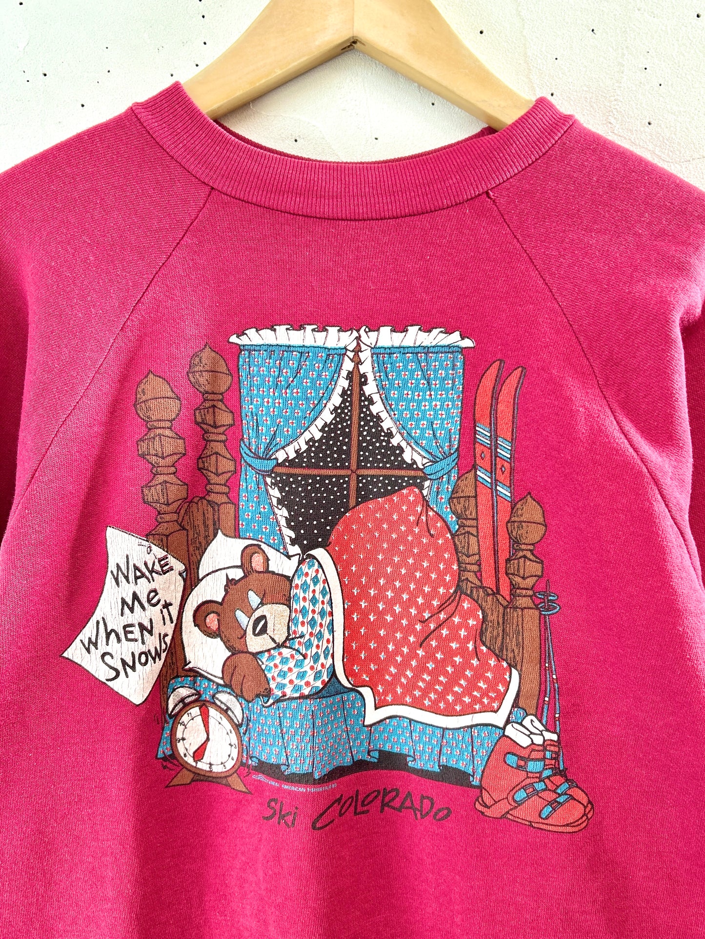 Vintage  Sweat 〜Healthknll〜 MADE IN USA [K30918]