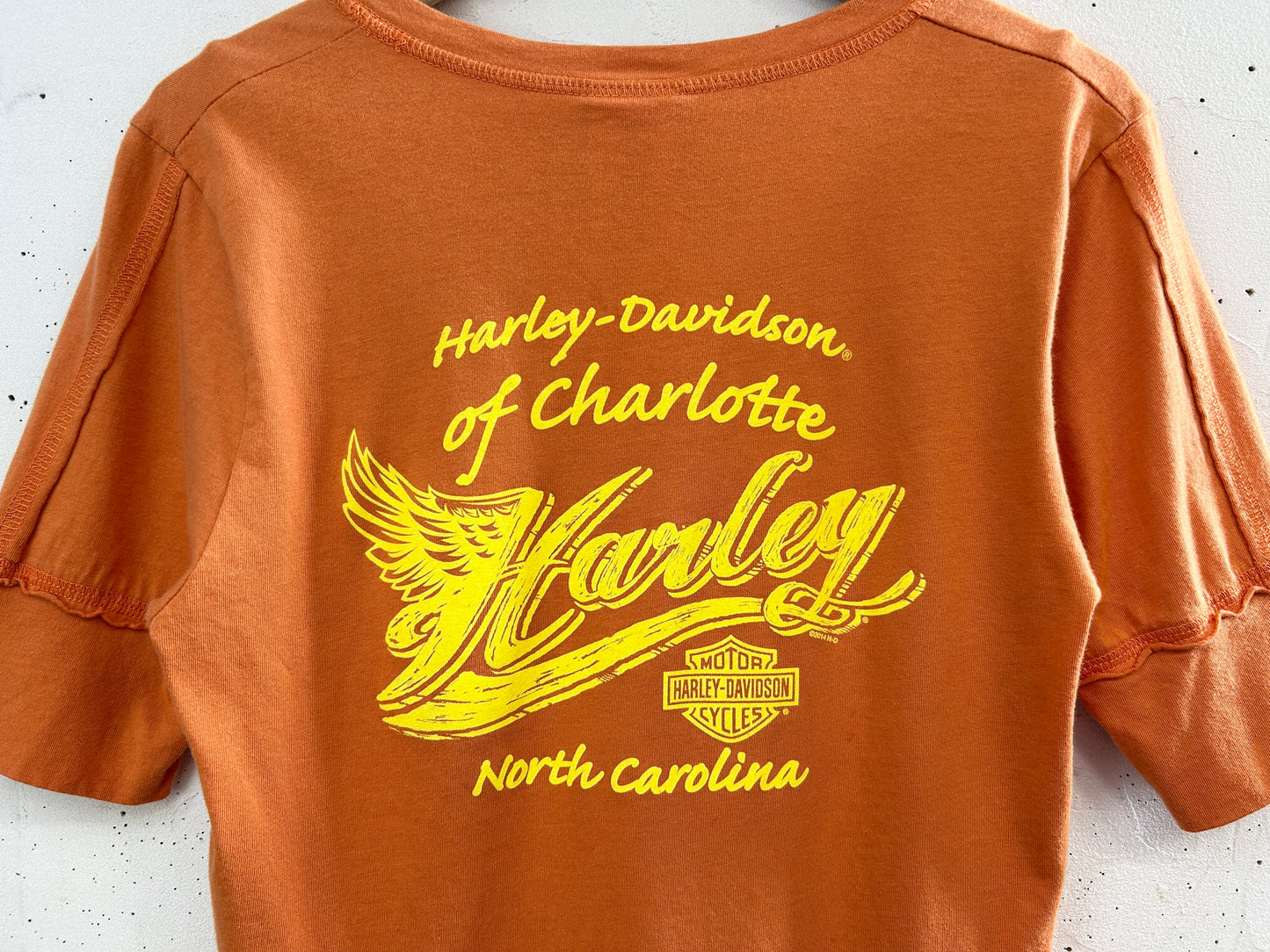 Vintage T-Shirt 〜Harley Davidson〜 [G33521]