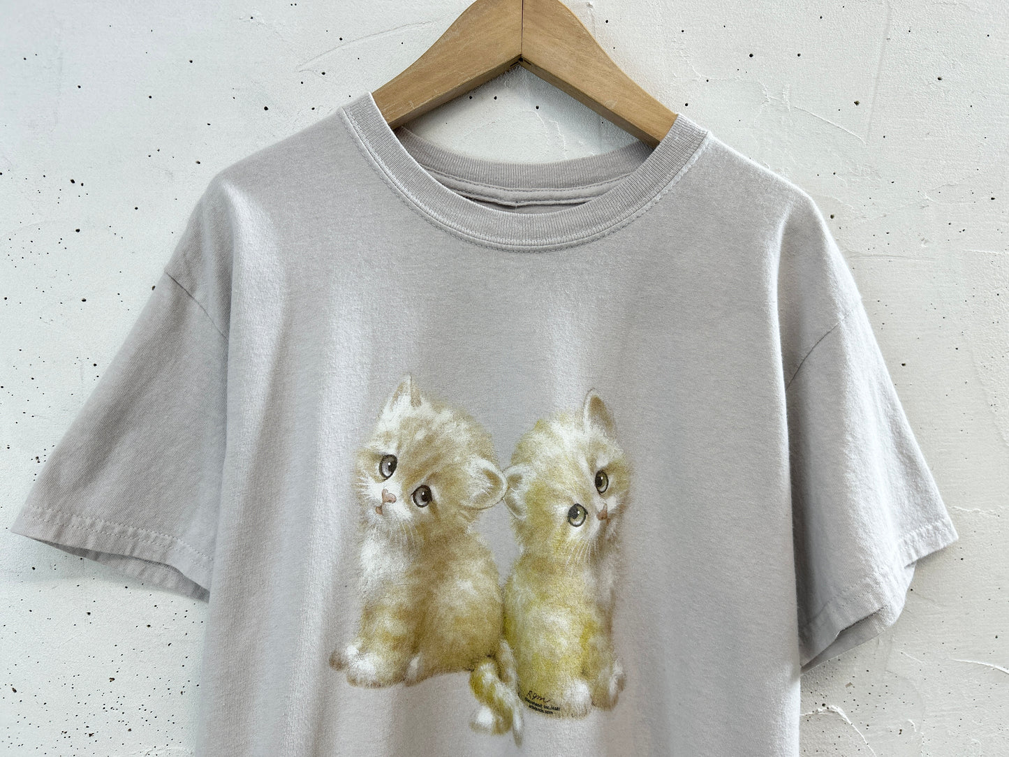 Vintage T-Shirt [C31817]
