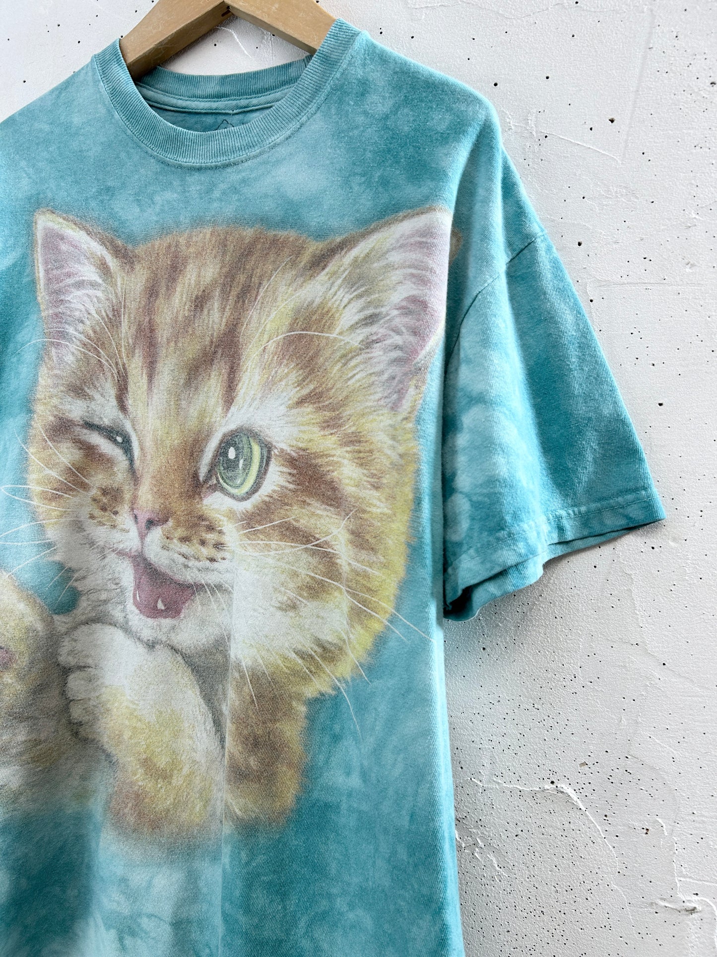Vintage T-Shirt 〜The Mountain〜 [H33563]
