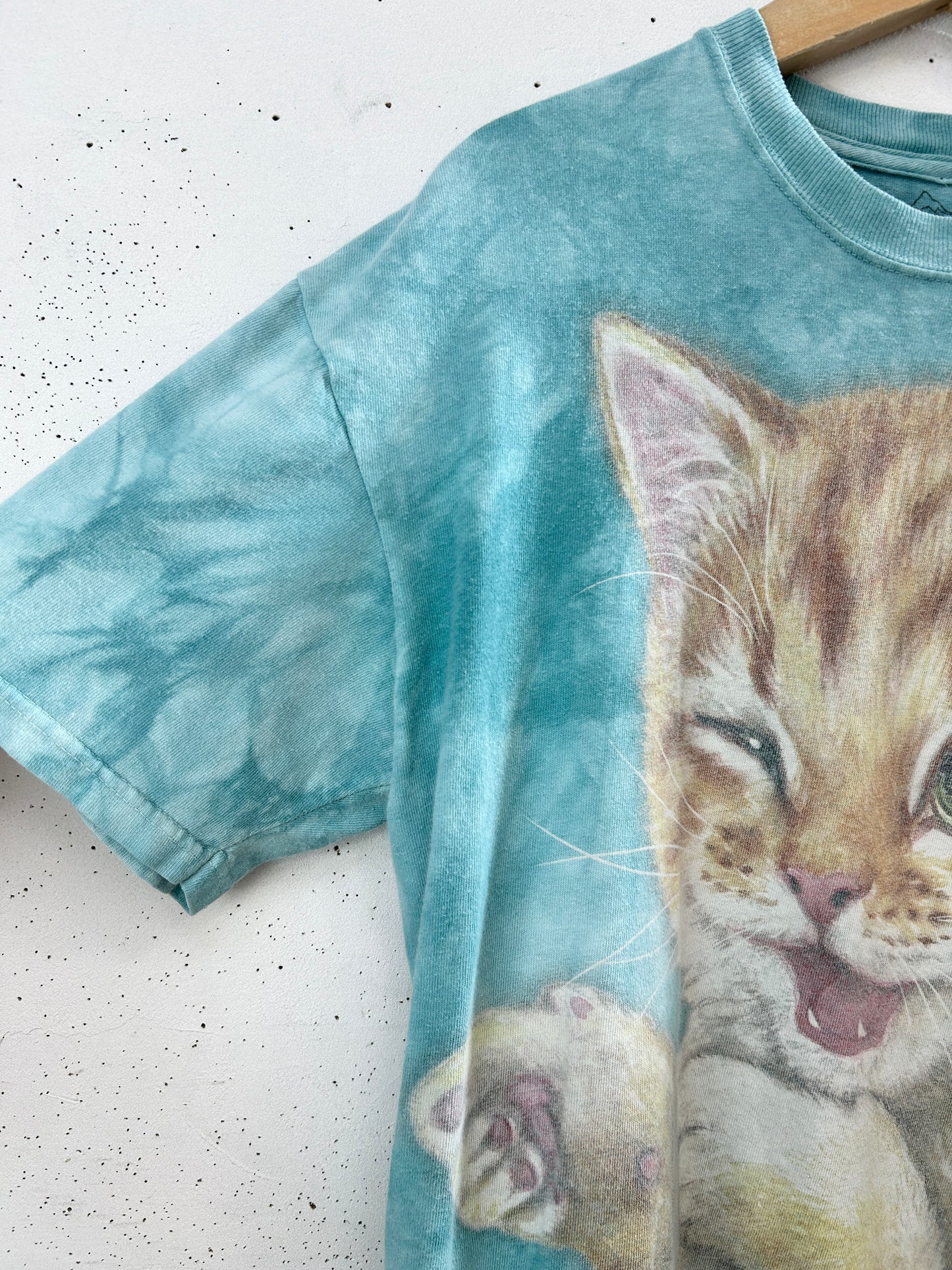 Vintage T-Shirt 〜The Mountain〜 [H33563]