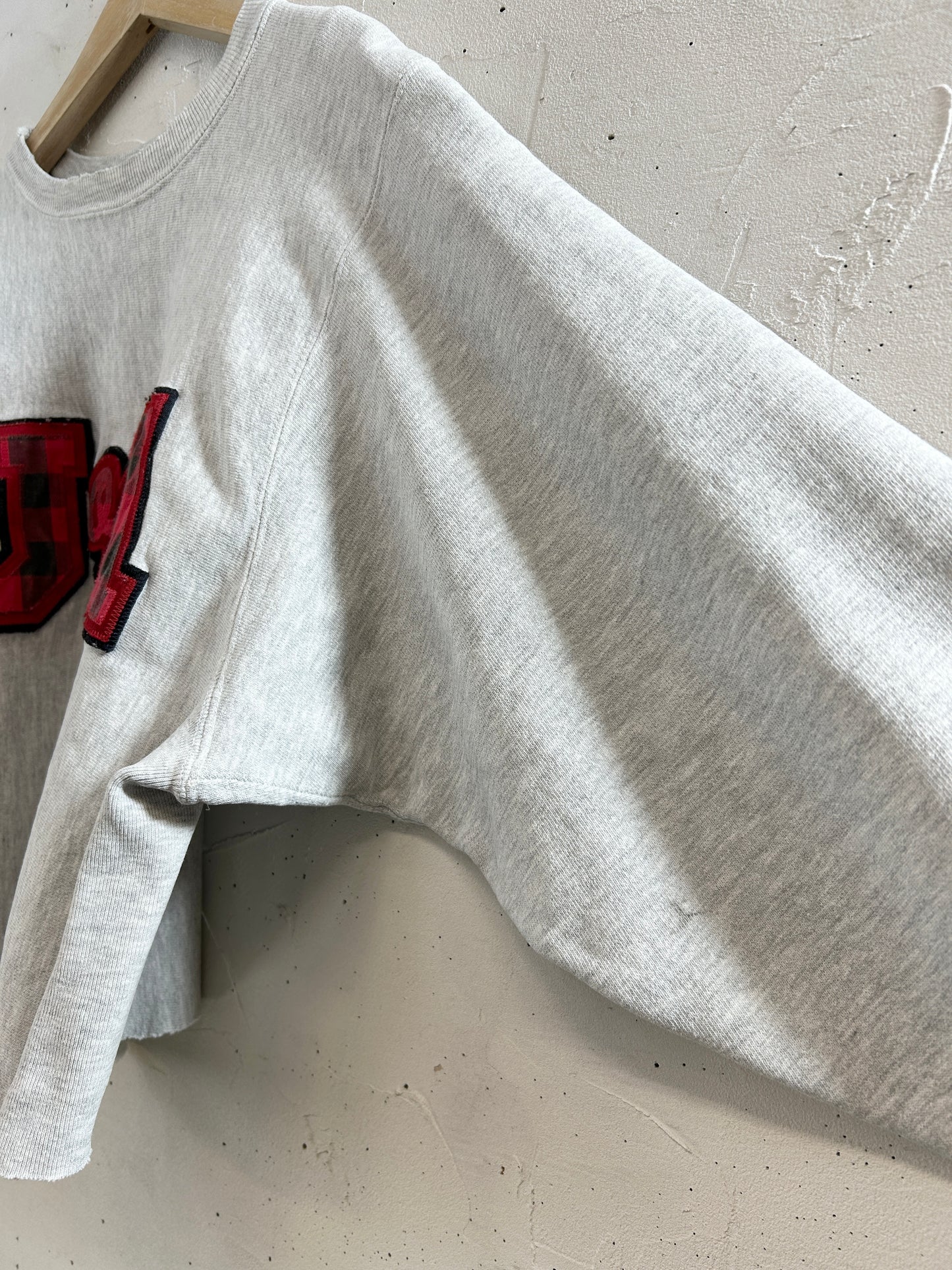 Vintage Sweat '90s Champion Reverseweave [L30987]