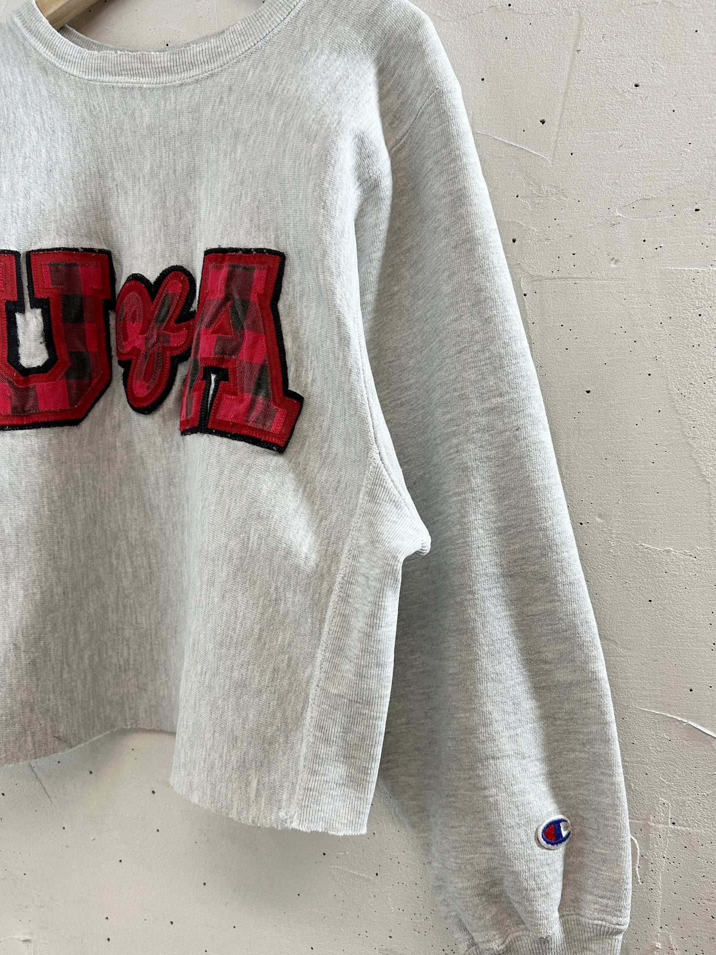 Vintage Sweat '90s Champion Reverseweave [L30987]