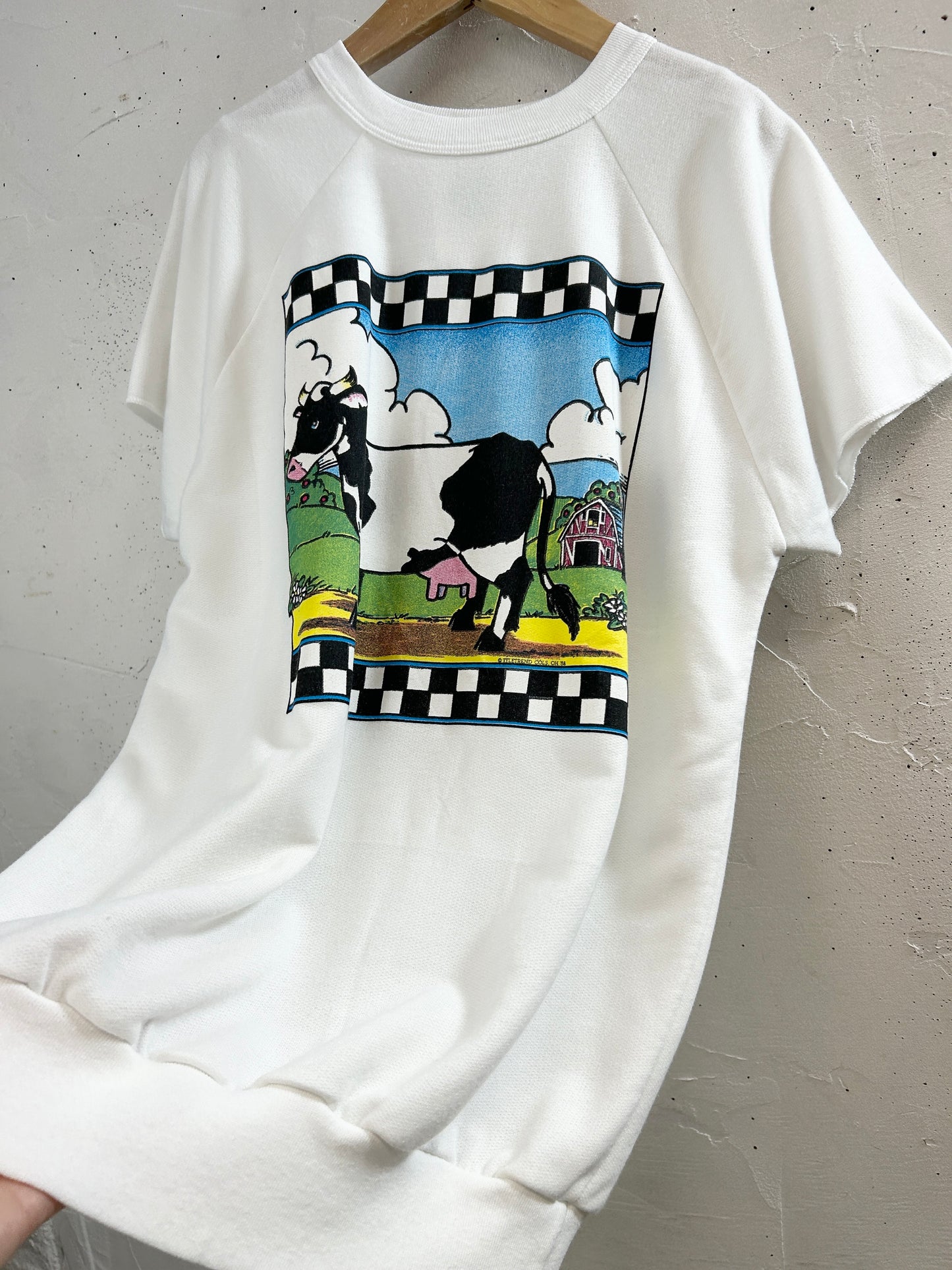 Vintage Sweat [H33580]