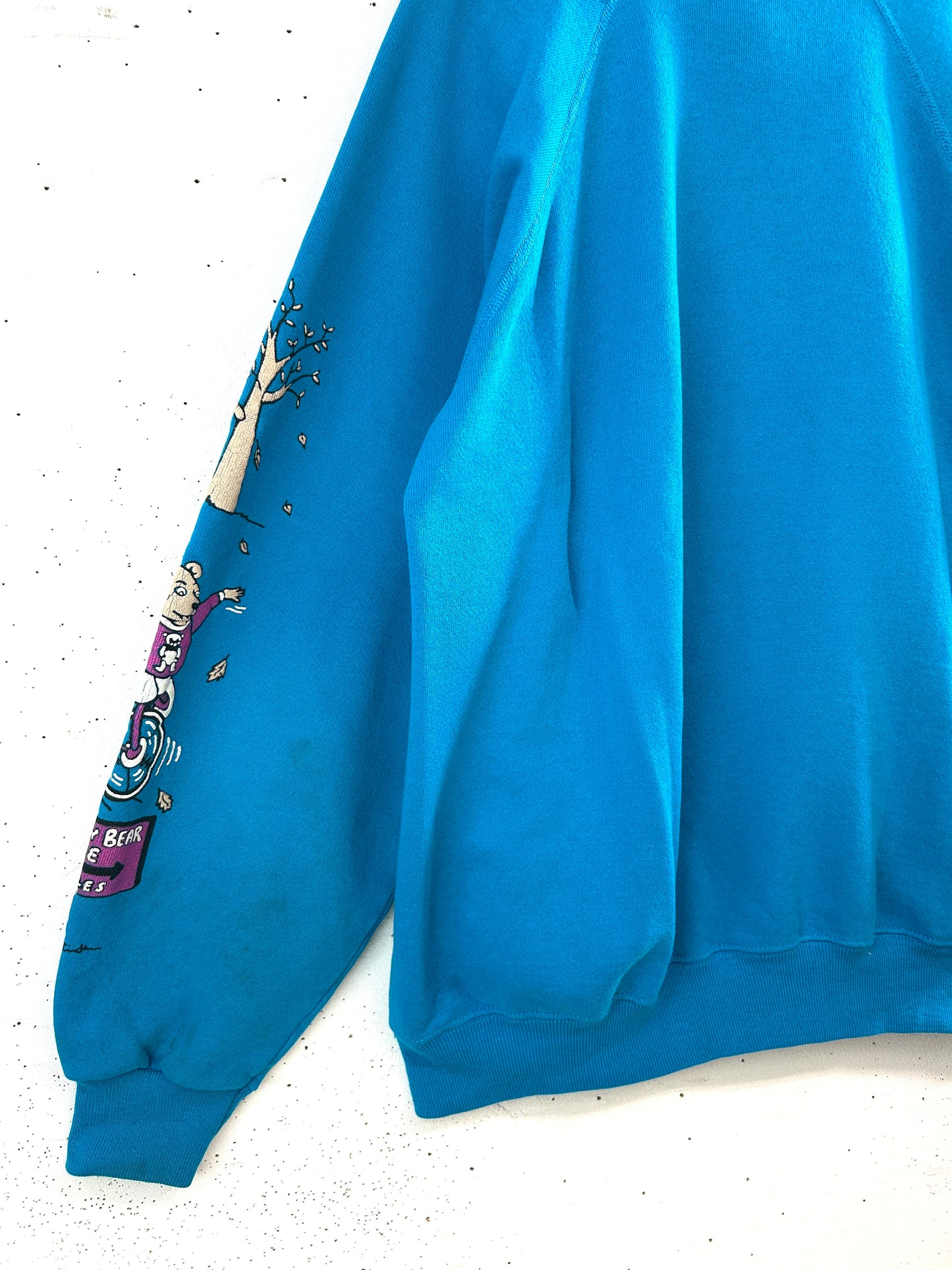 Vintage Sweat ~Hanes~ MADE IN USA  [A31400]