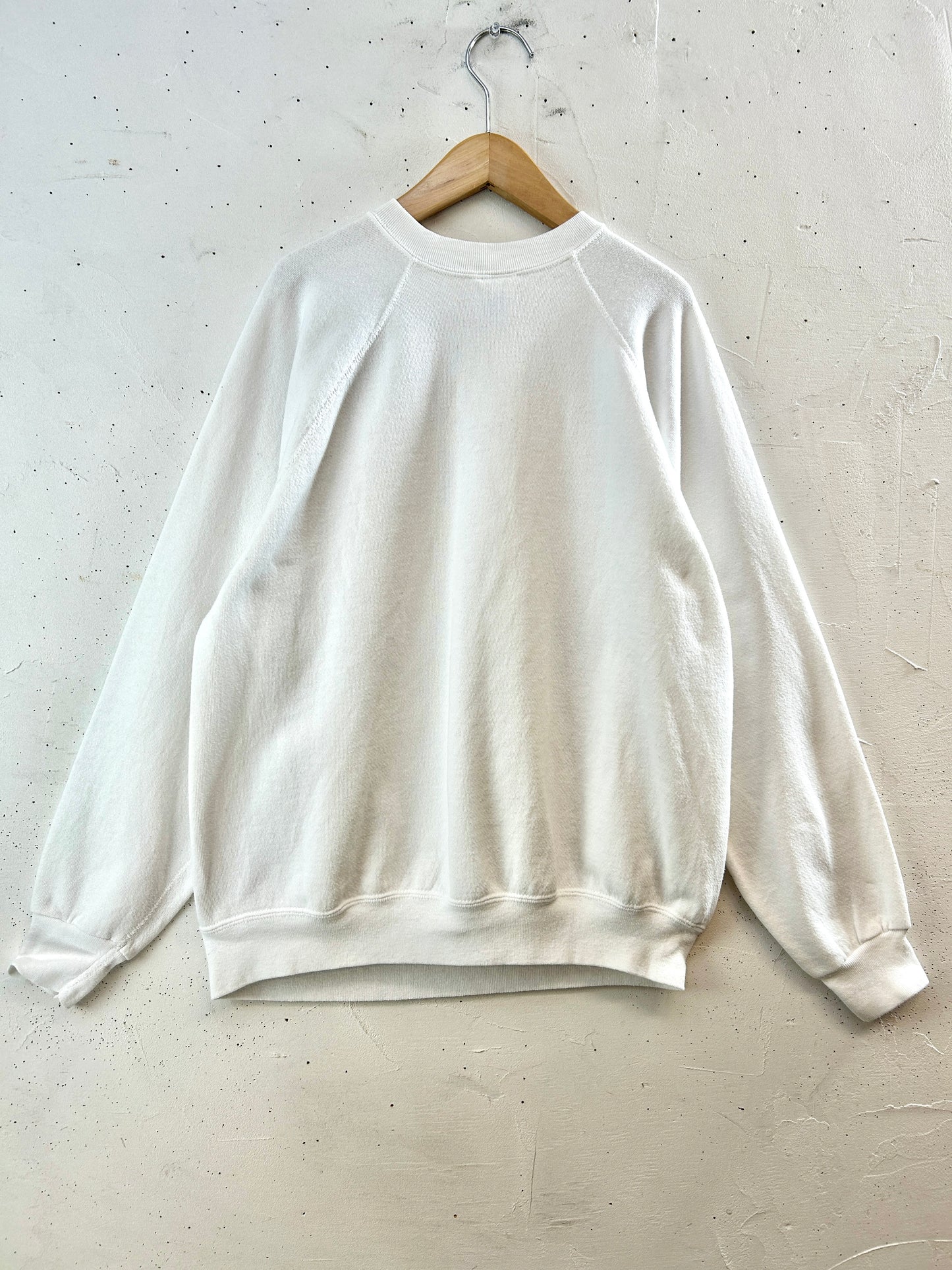 Vintage Hand Painted Sweat 〜Tultex〜 MADE IN USA [K30903]