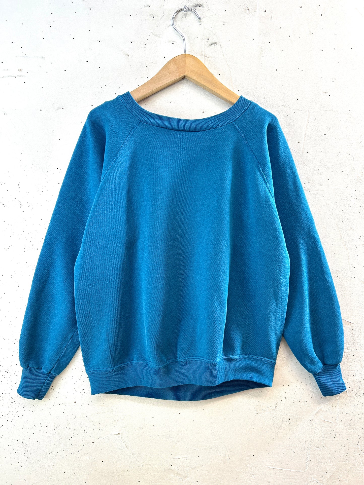 Vintage Sweat MADE IN USA [K30738]