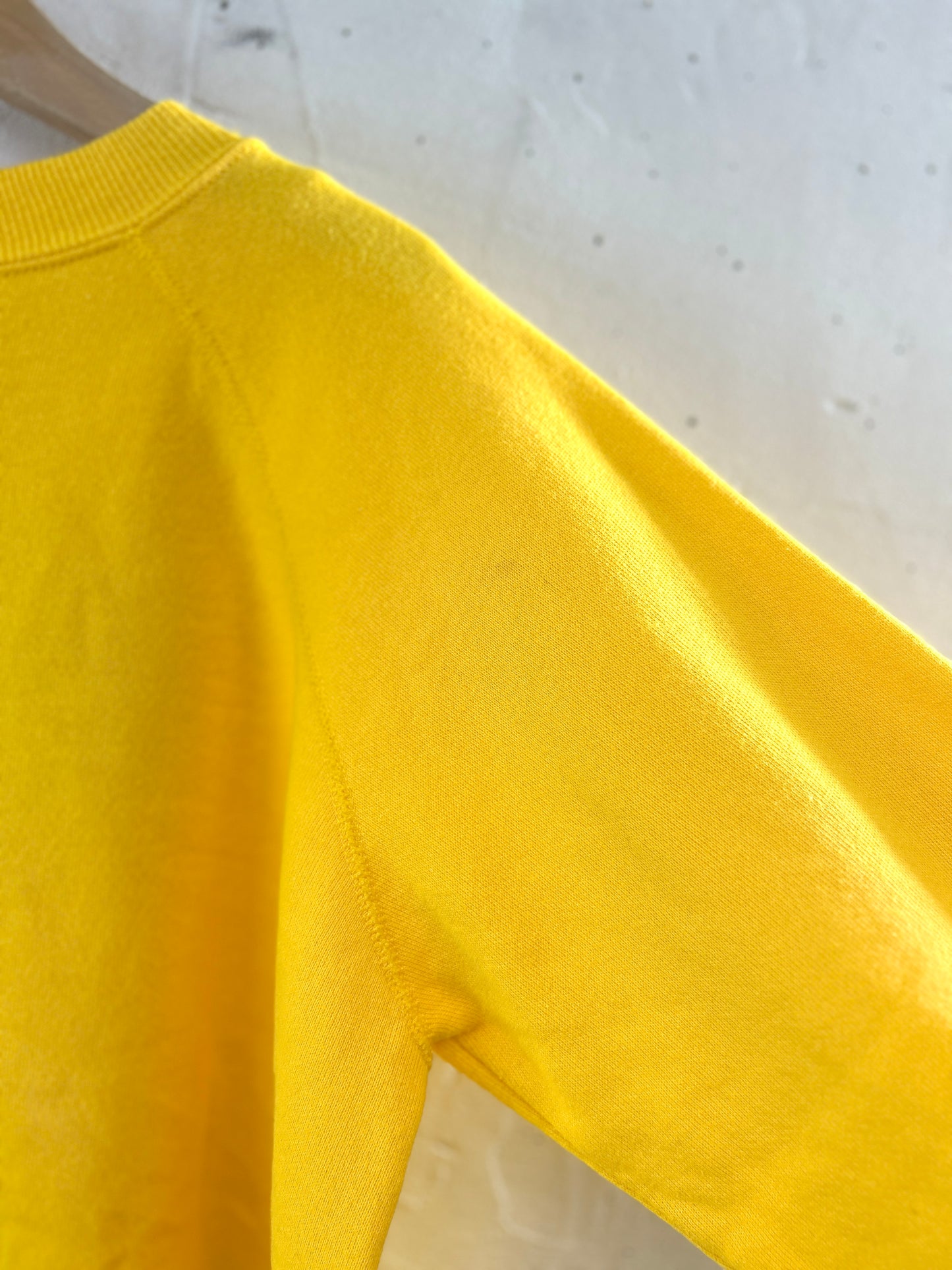 Vintage Custom Sweat　MADE IN USA 〜Hanes Her Way〜[J30529]
