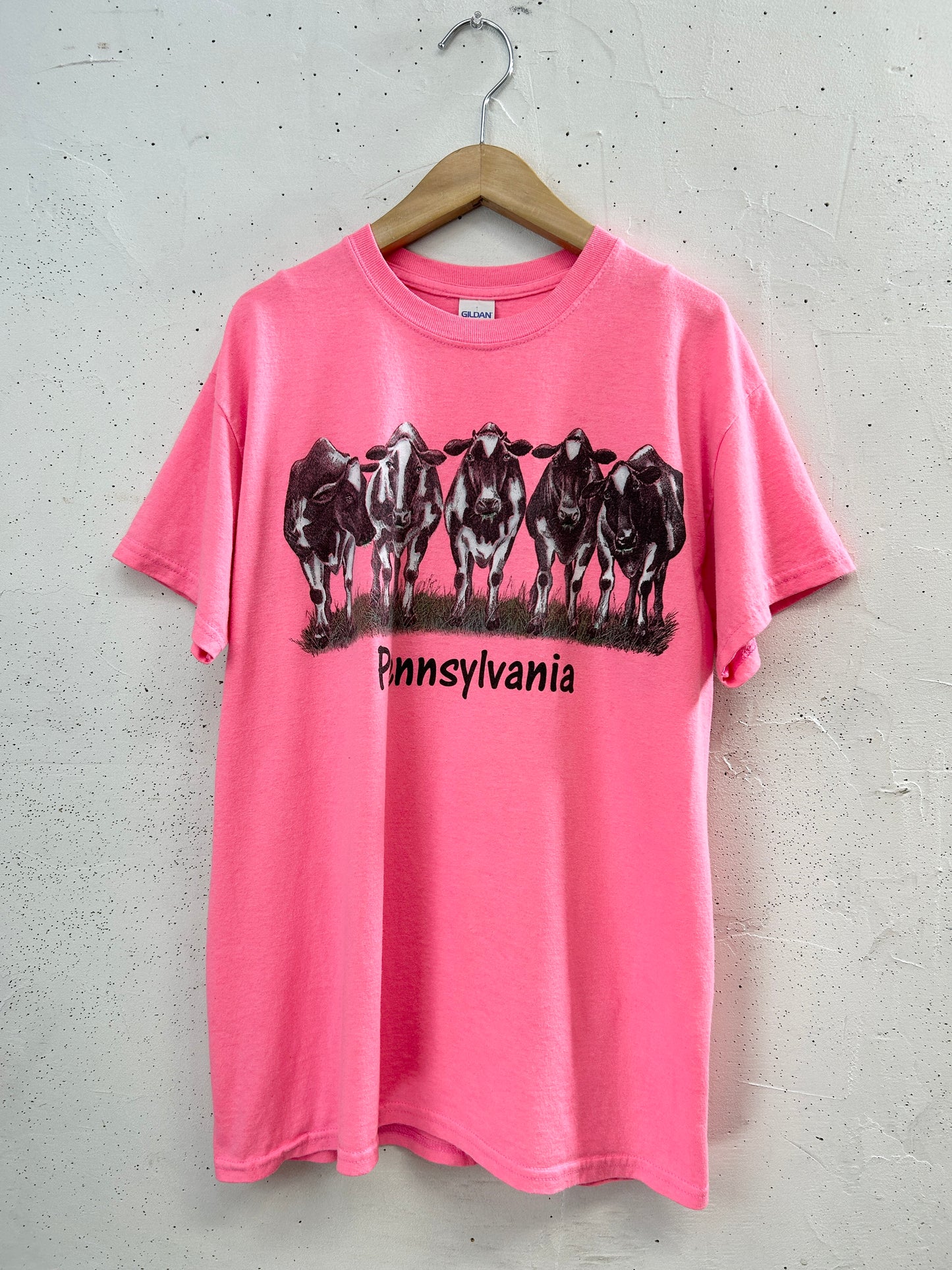 Vintage T-Shirt [H33432]