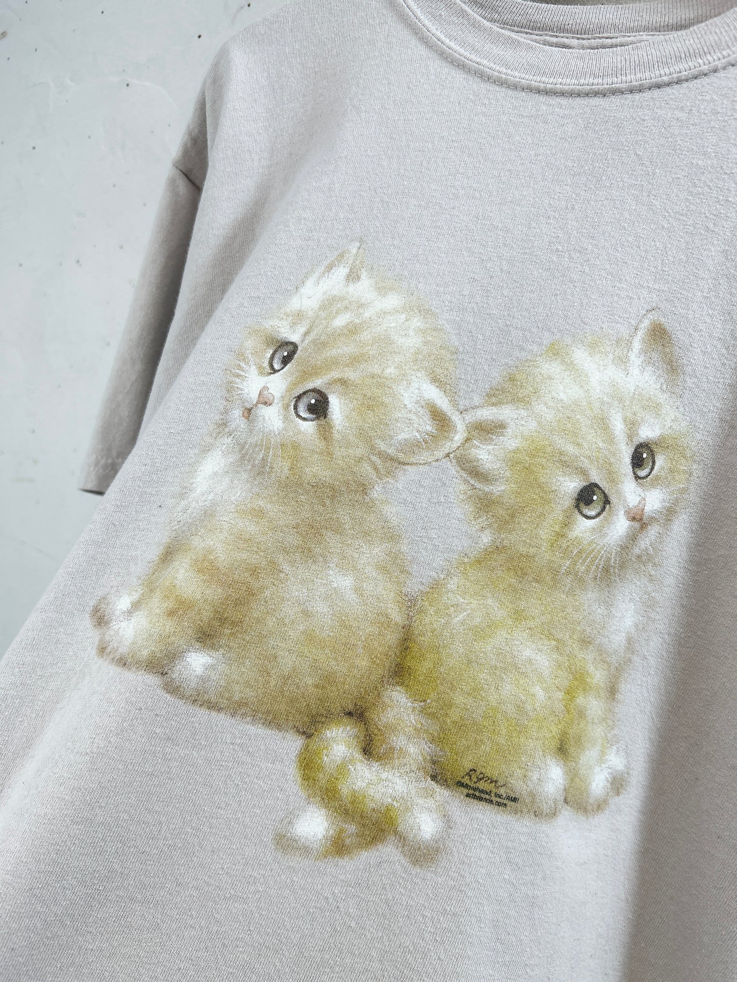 Vintage T-Shirt [C31817]