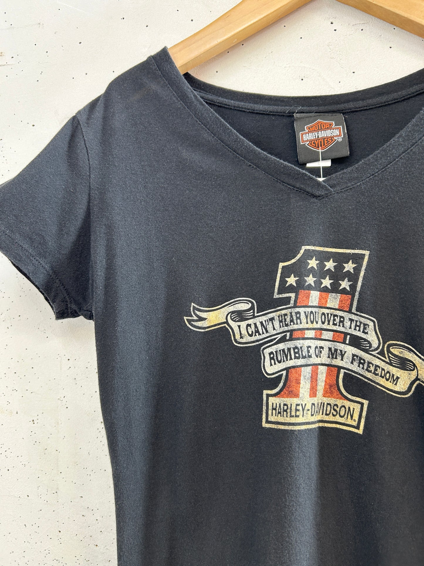Vintage T-Shirt 〜Harley Davidson〜 [H33520]