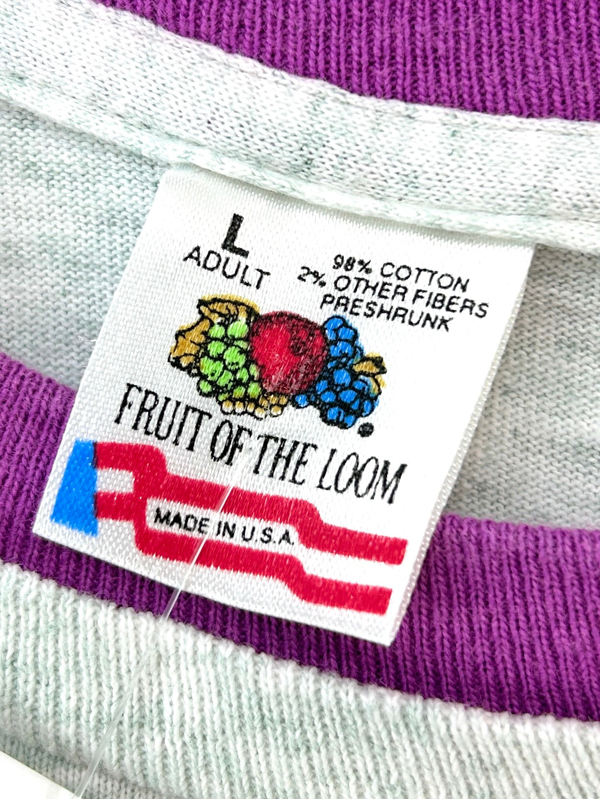 Vintage T-Shirt 〜 FRUIT OF THE LOOM〜 MADE IN USA [G32918]
