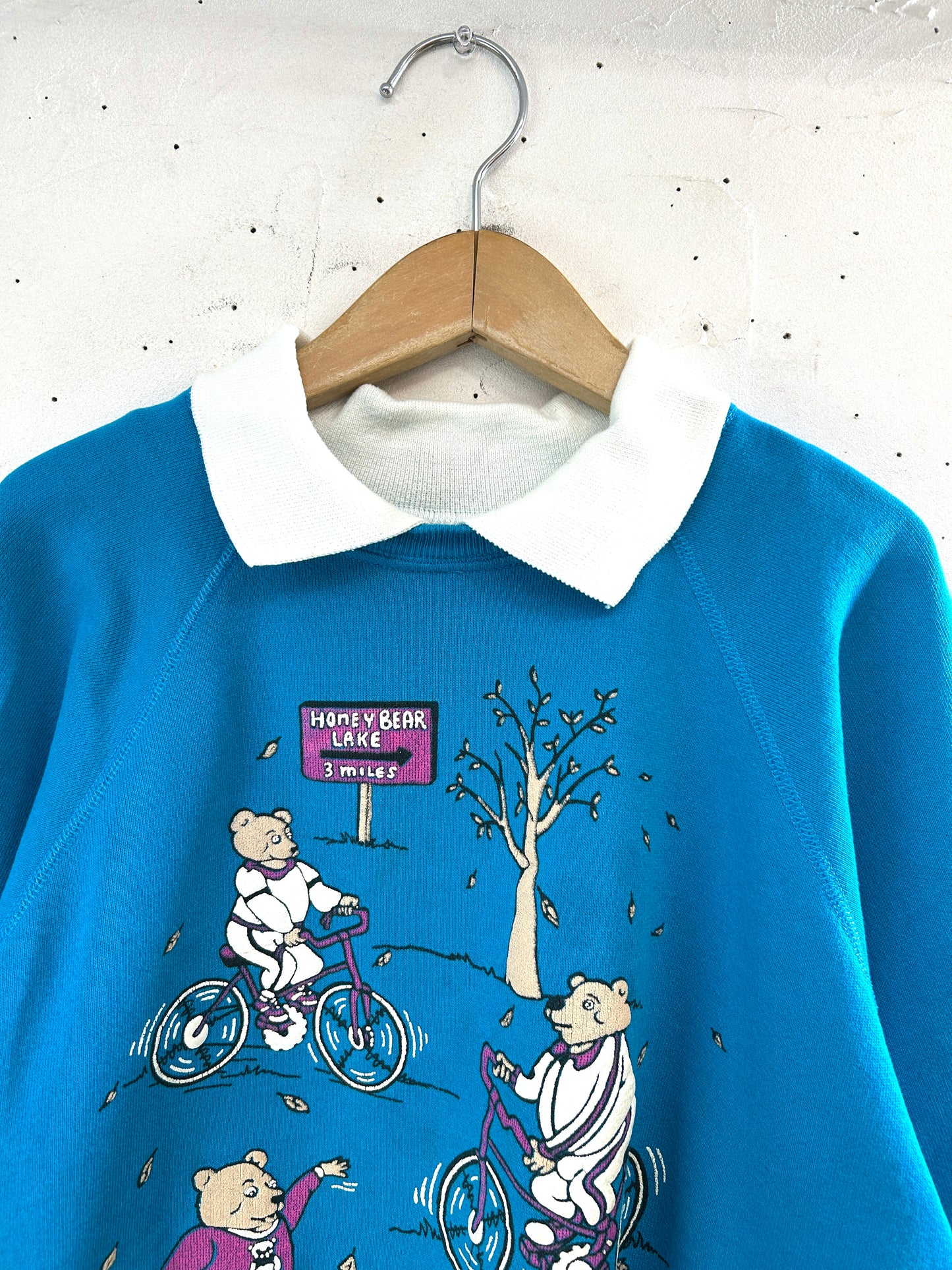 Vintage Sweat ~Hanes~ MADE IN USA  [A31400]