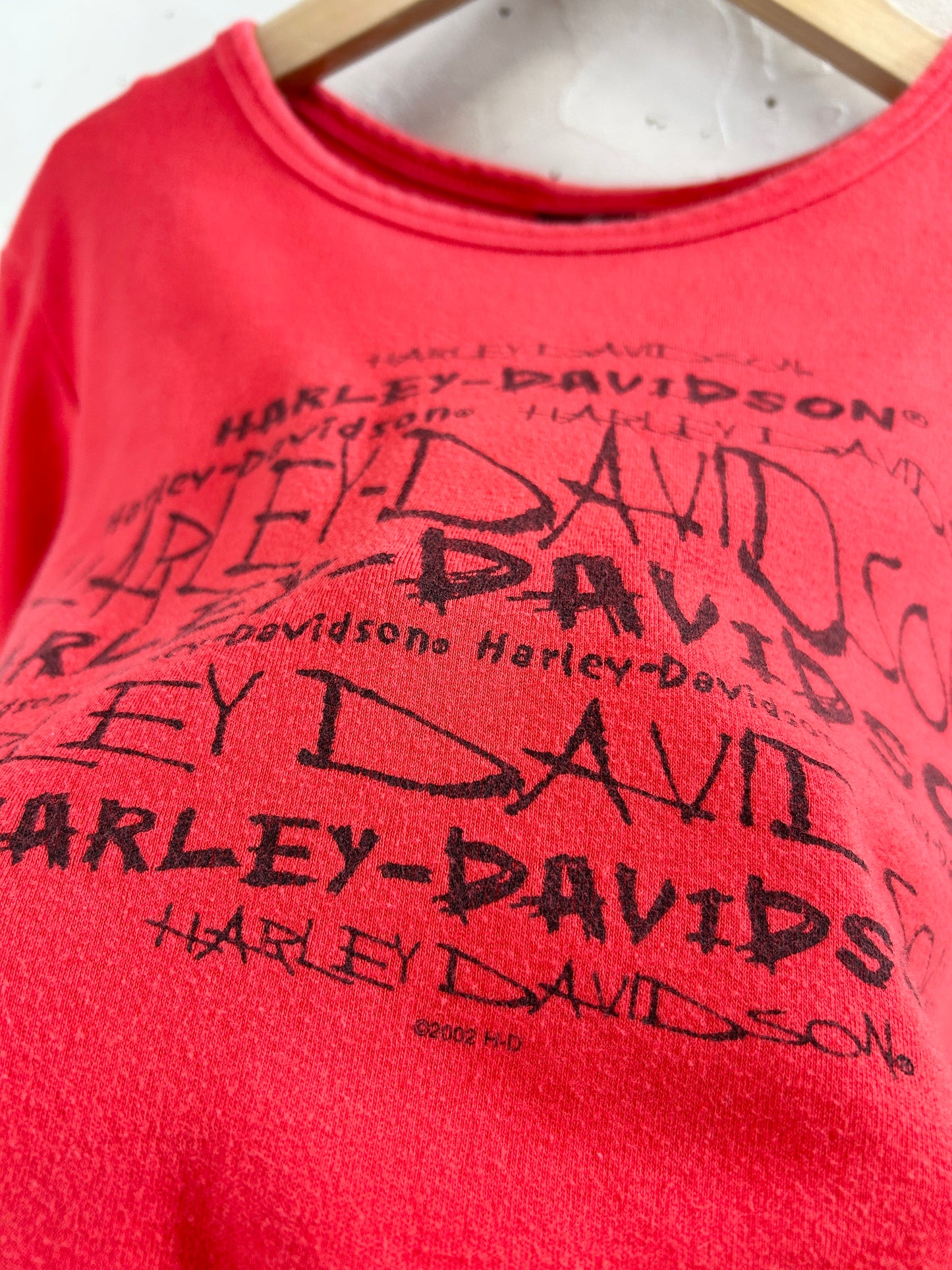 Vintage T-Shirt 〜Harley Davidson〜 [F32588]