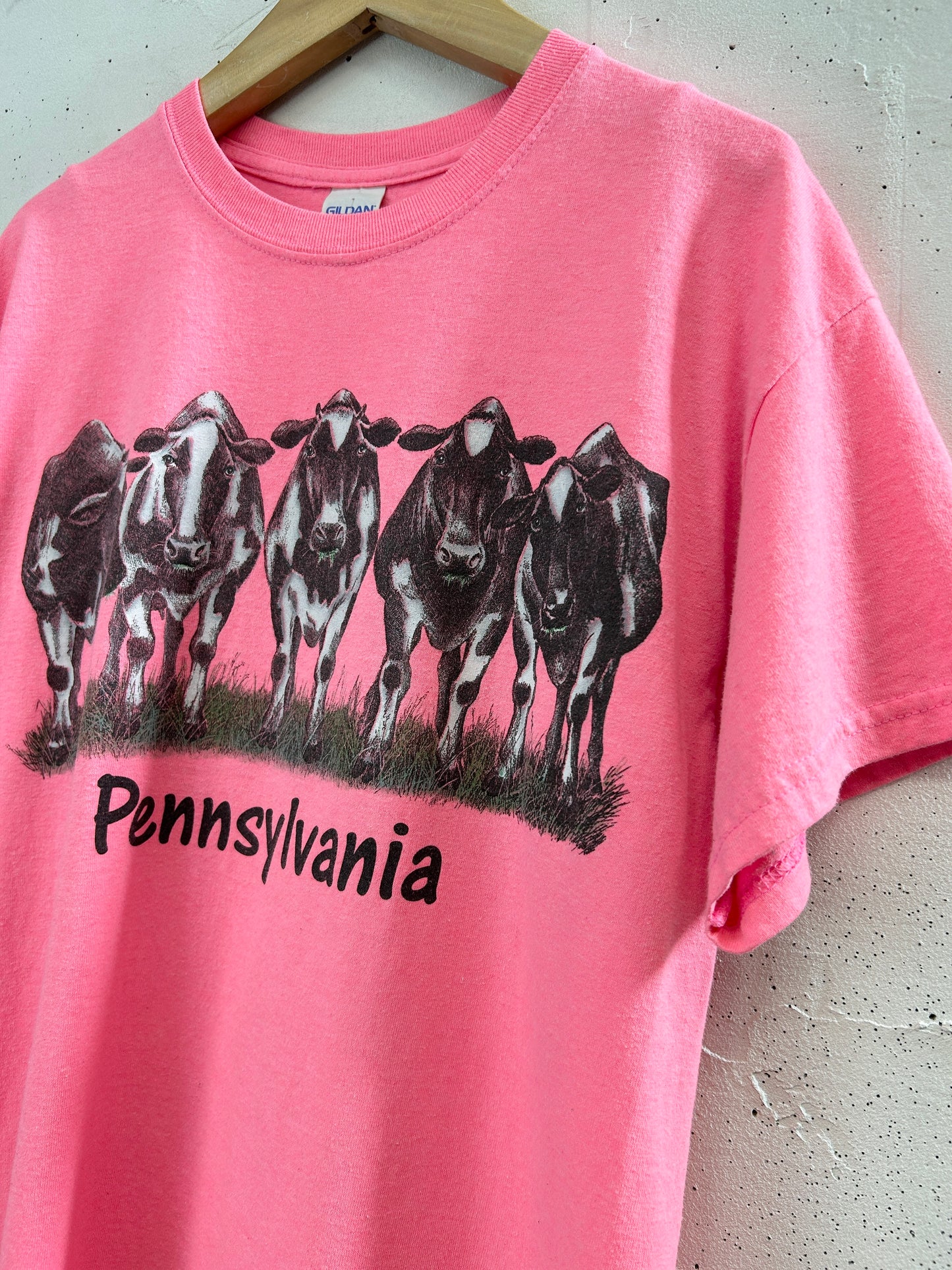 Vintage T-Shirt [H33432]