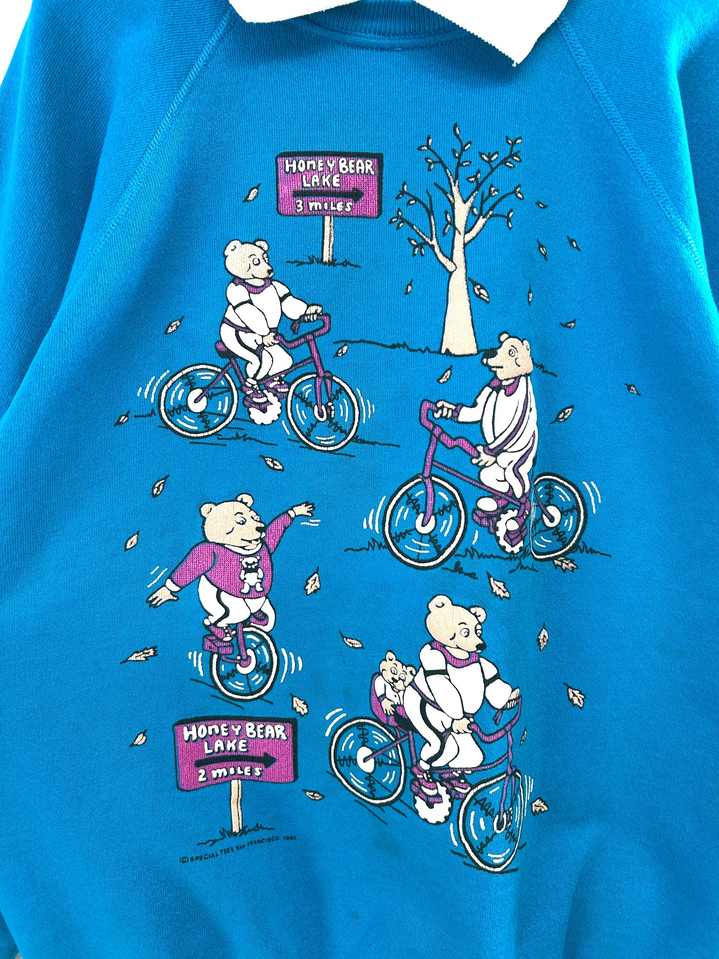 Vintage Sweat ~Hanes~ MADE IN USA  [A31400]