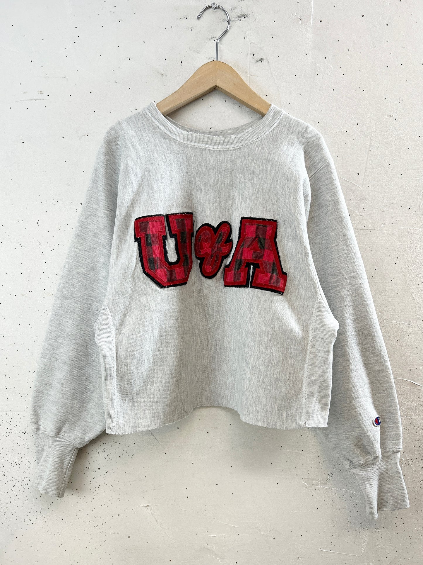 Vintage Sweat '90s Champion Reverseweave [L30987]