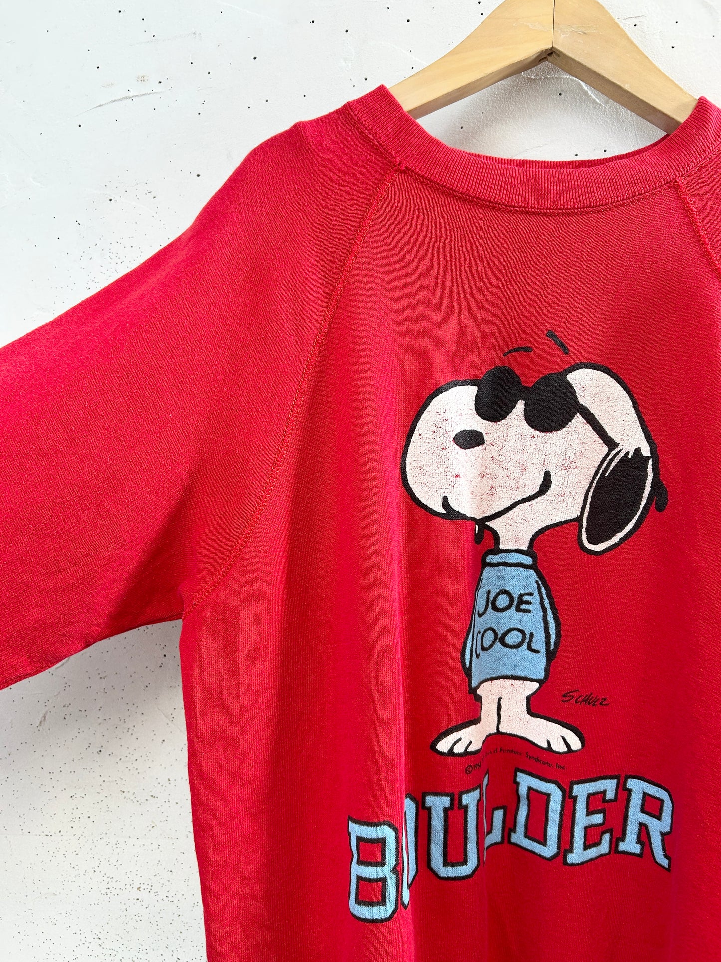 Vintage Sweat 〜Snoopy〜 [H33666]