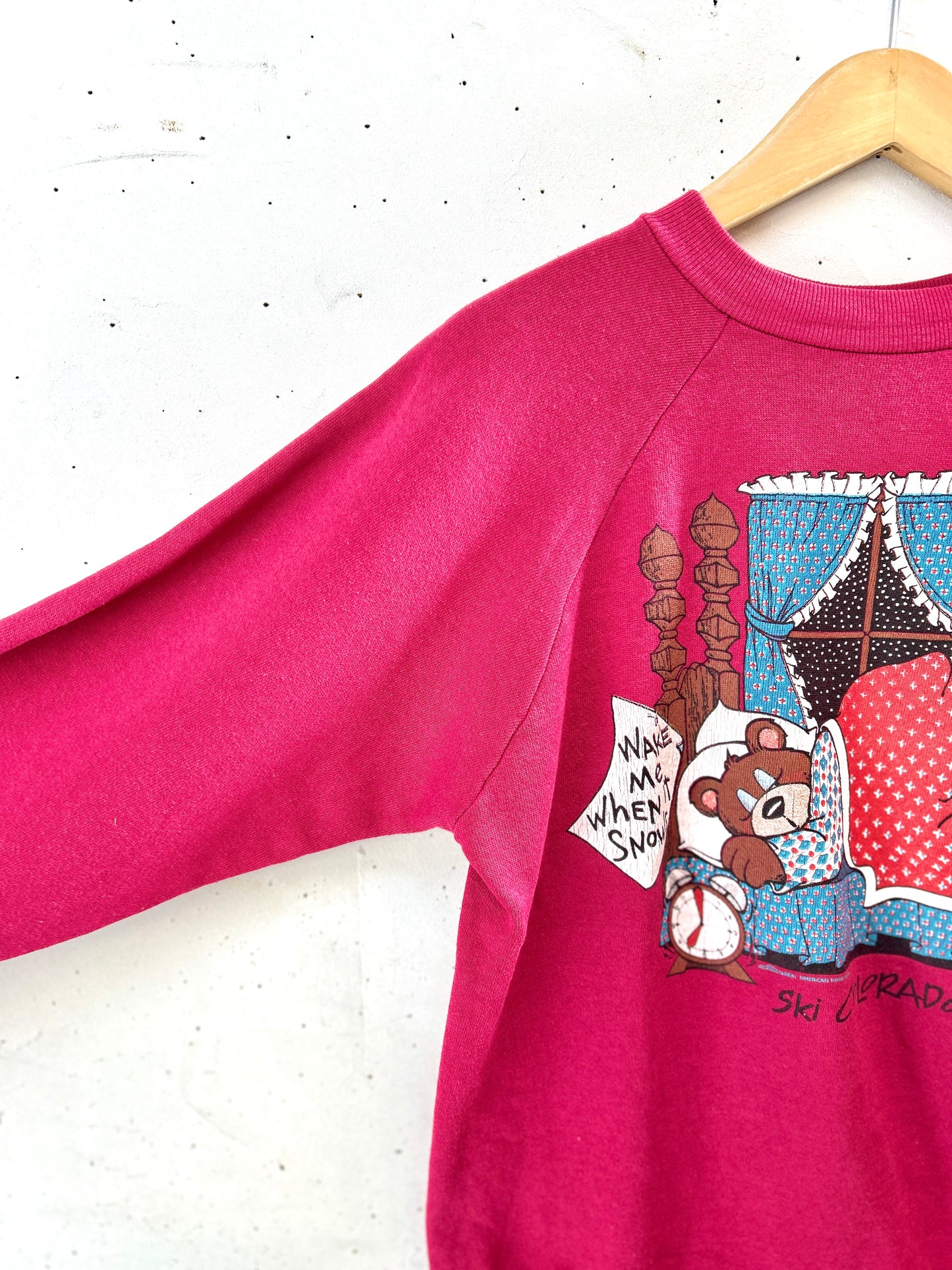 Vintage  Sweat 〜Healthknll〜 MADE IN USA [K30918]