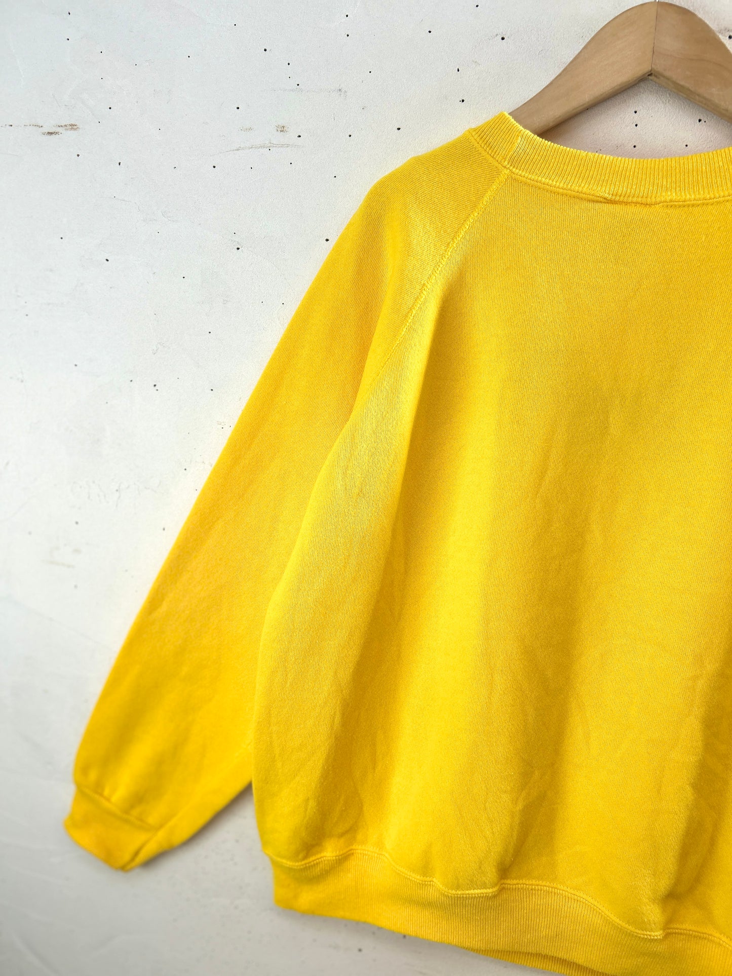 Vintage Custom Sweat　MADE IN USA 〜Hanes Her Way〜[J30529]