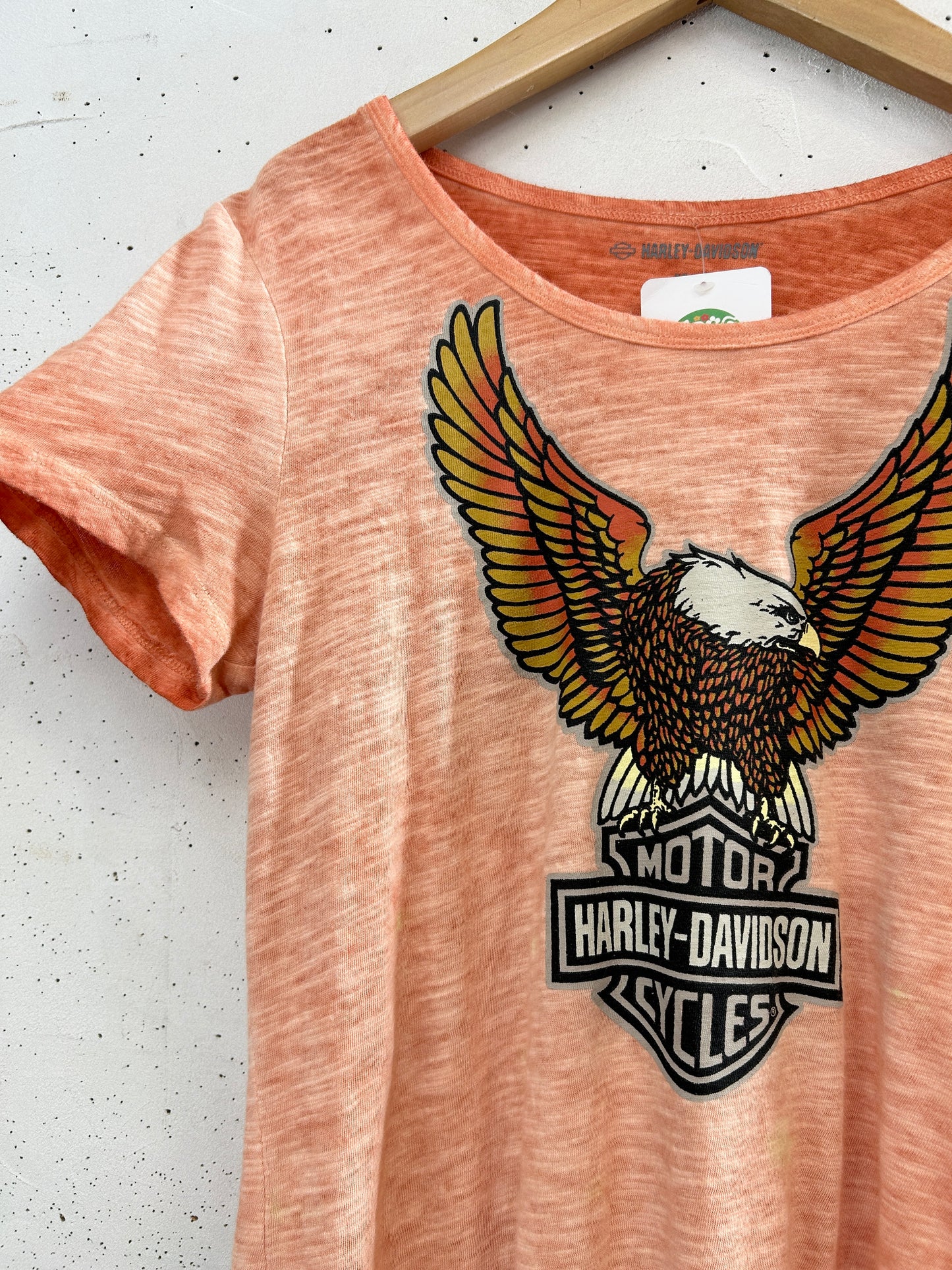 Vintage T-Shirt 〜Harley Davidson〜 [H33522]