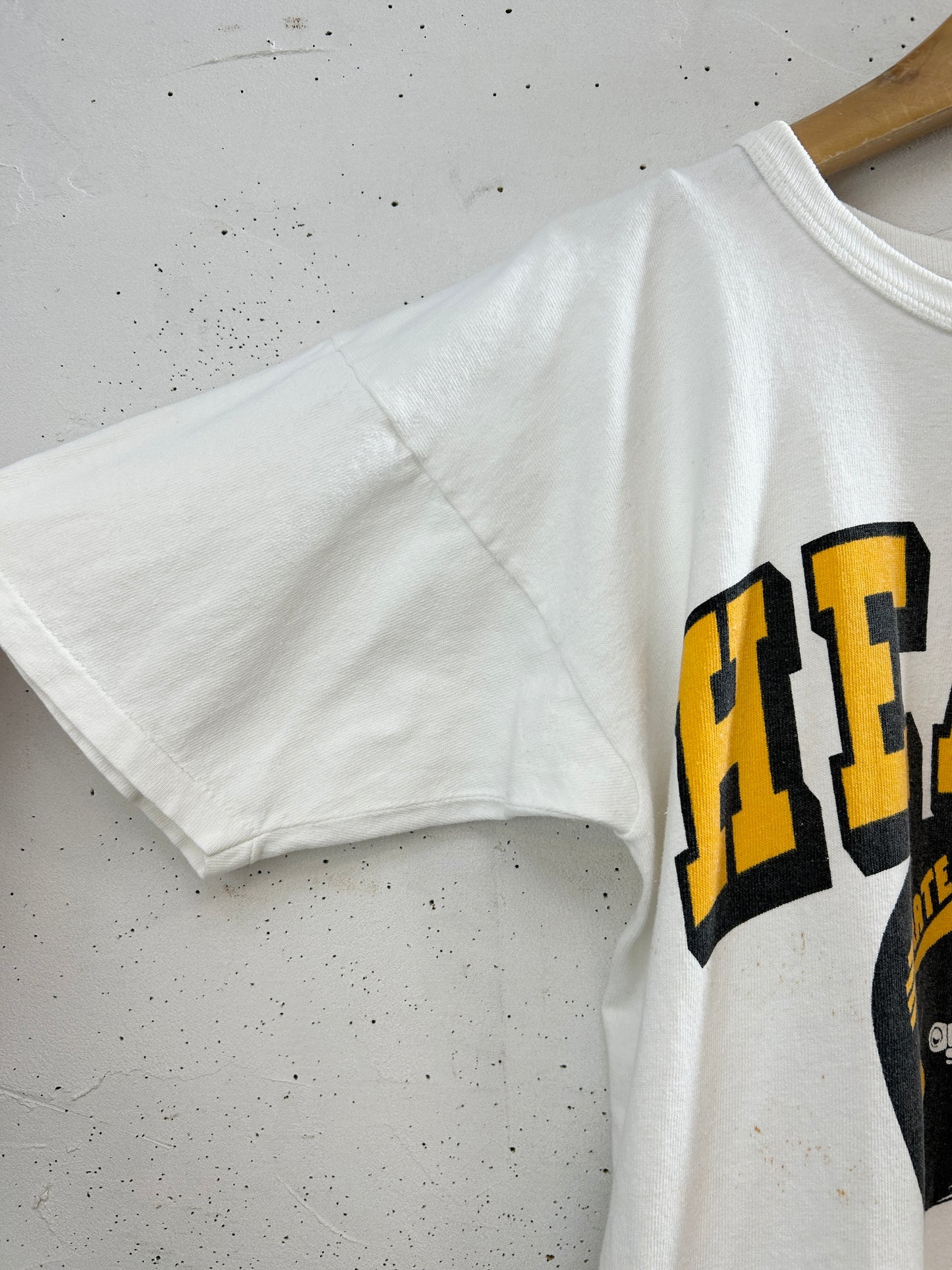 '80s Vintage T-Shirt 〜Champion MADE IN USA〜 [G33161]