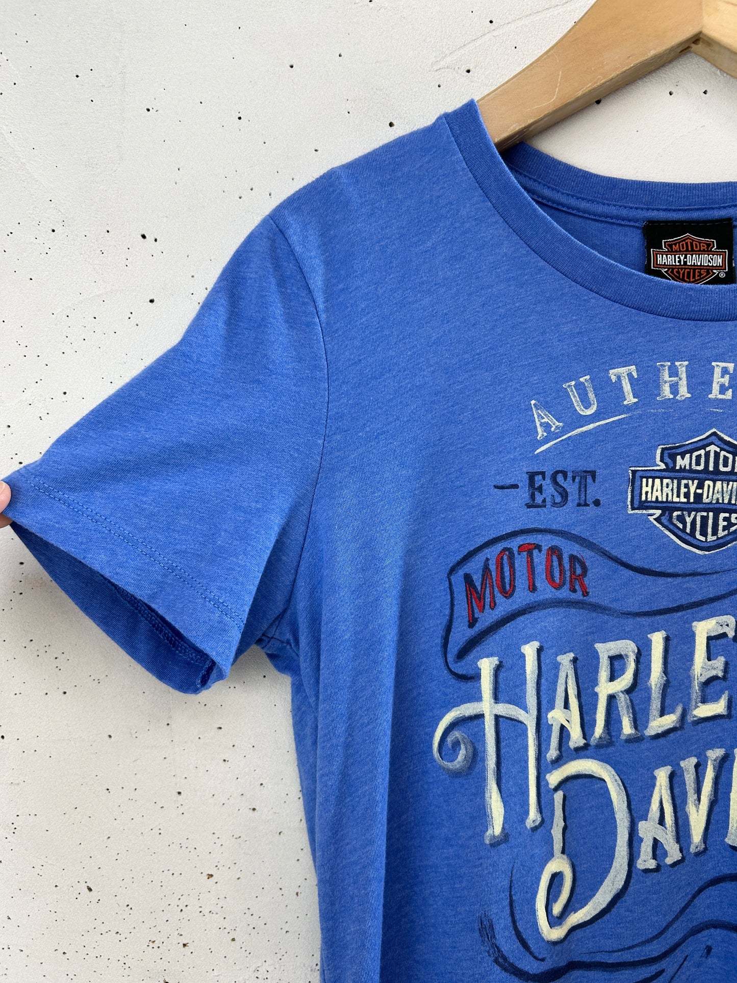 Vintage T-Shirt 〜Harley Davidson〜 [F32589]