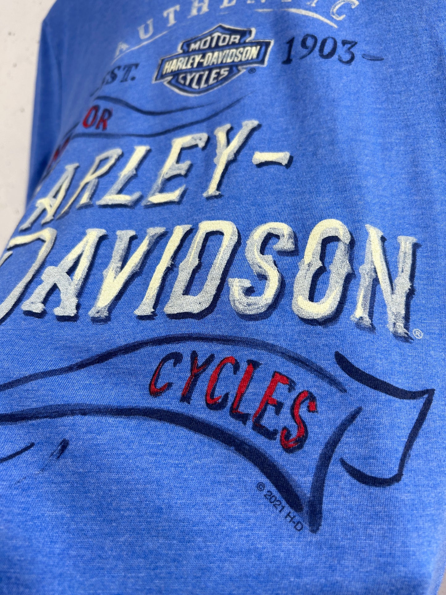 Vintage T-Shirt 〜Harley Davidson〜 [F32589]