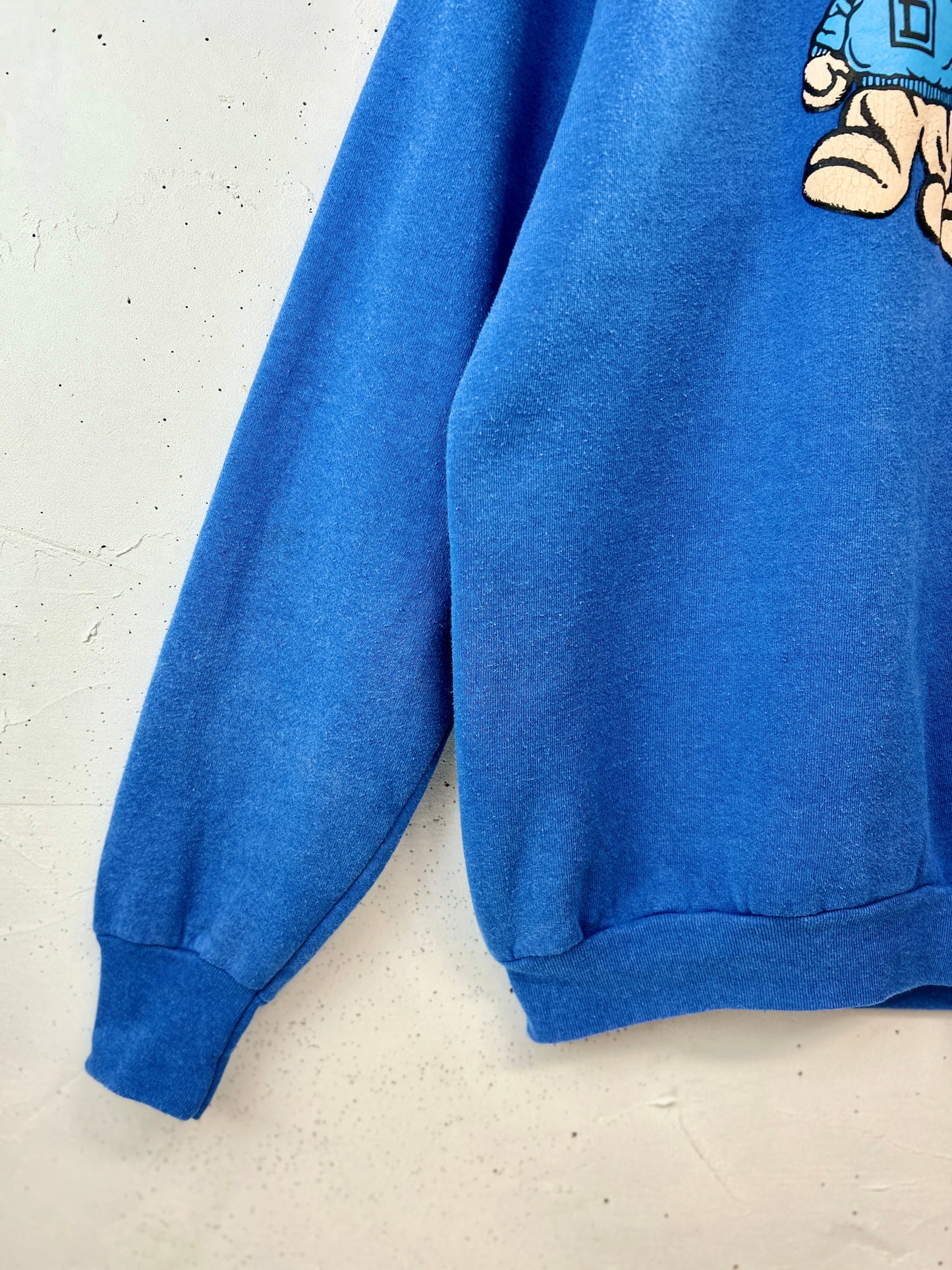 '80sVintage Sweat 〜FRUIT OF THE LOOM〜 MADE IN USA [B31565]