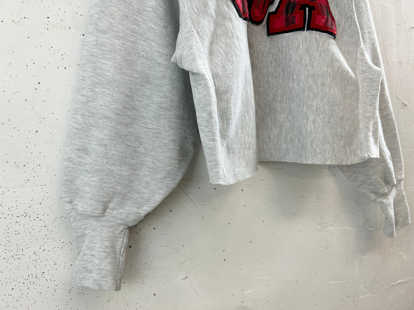 Vintage Sweat '90s Champion Reverseweave [L30987]
