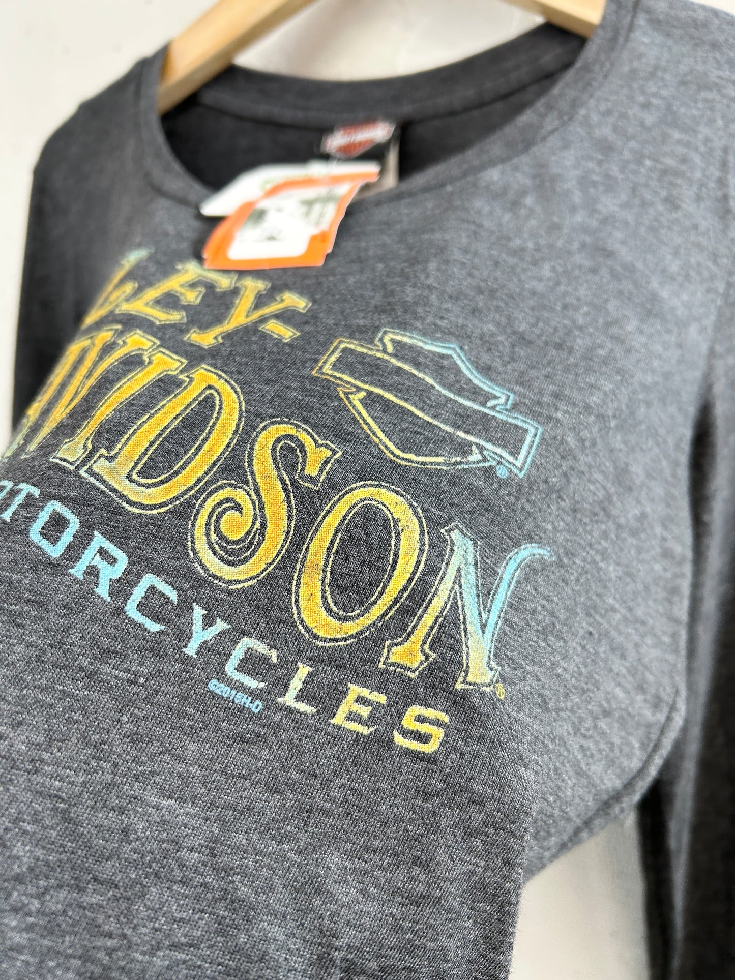Vintage Long Sleeve Shirt 〜Harley Davidson〜 [E32445]