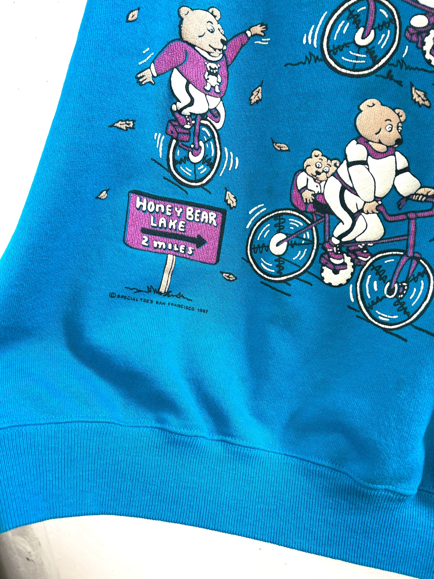 Vintage Sweat ~Hanes~ MADE IN USA  [A31400]