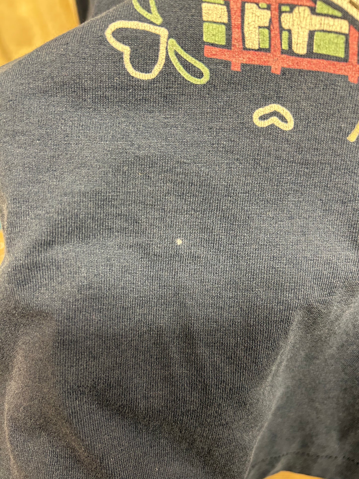 '90s Vintage T-Shirt〜FRUIT OF THE LOOM〜 [F30554]