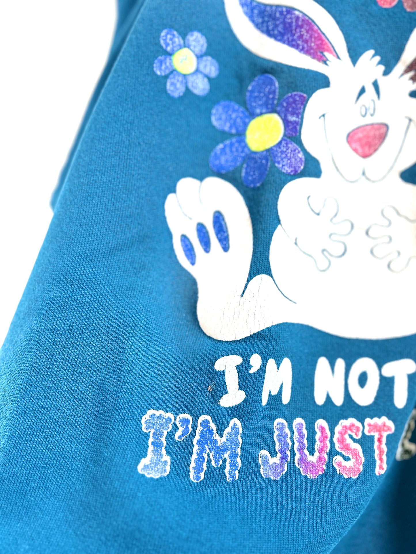 Vintage Sweat MADE IN USA [K30738]