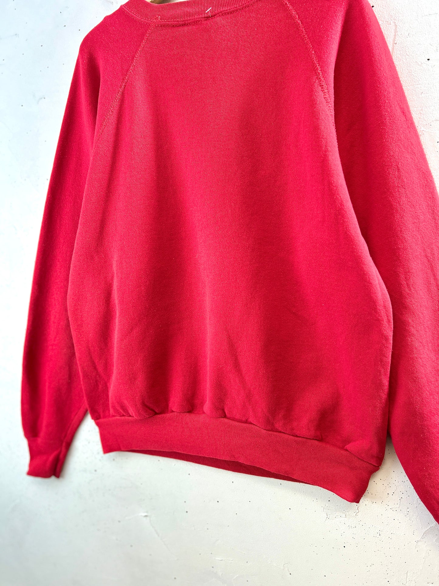 Vintage Sweat Made in USA [L30945]