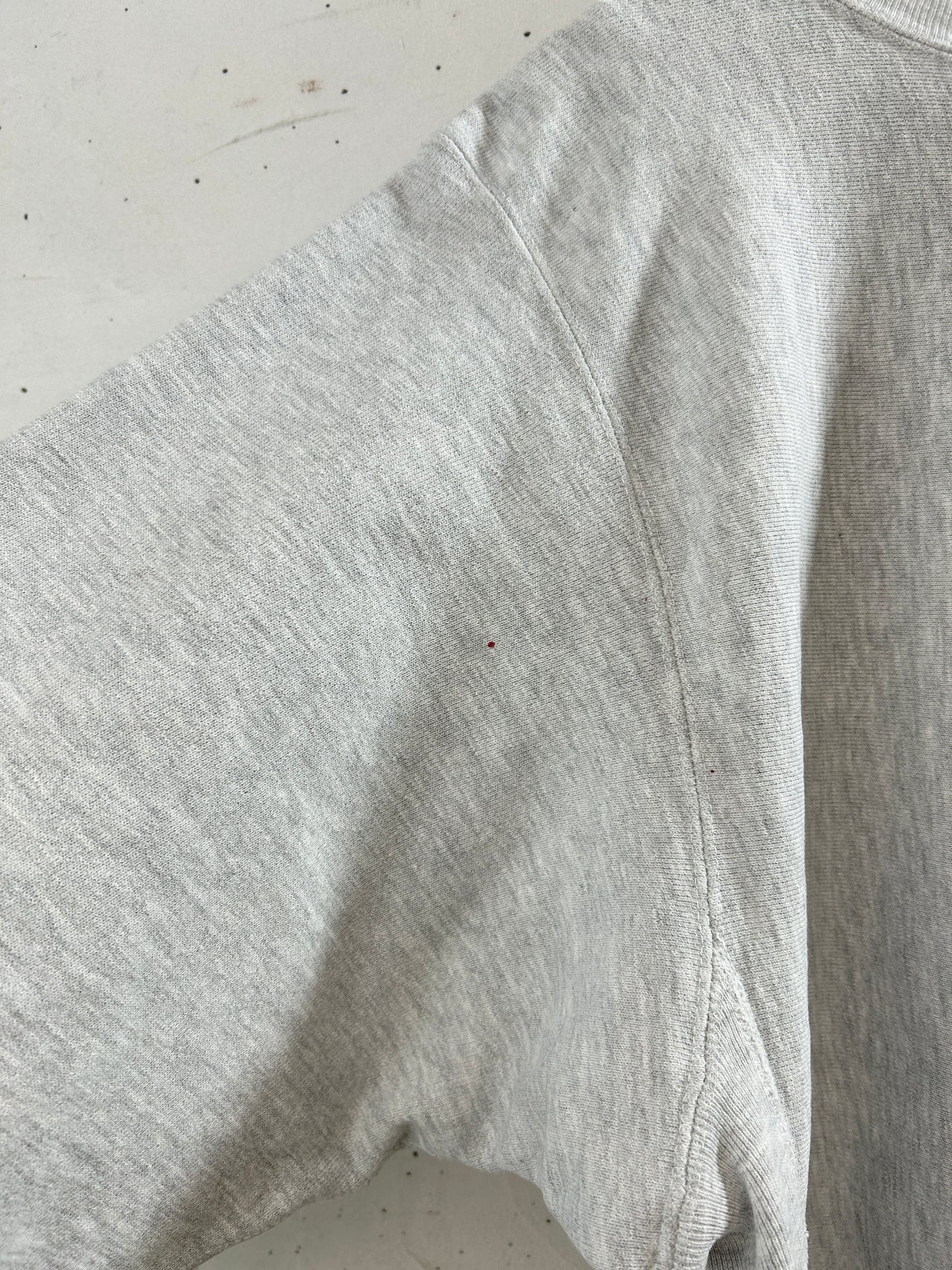 Vintage Sweat '90s Champion Reverseweave [L30987]