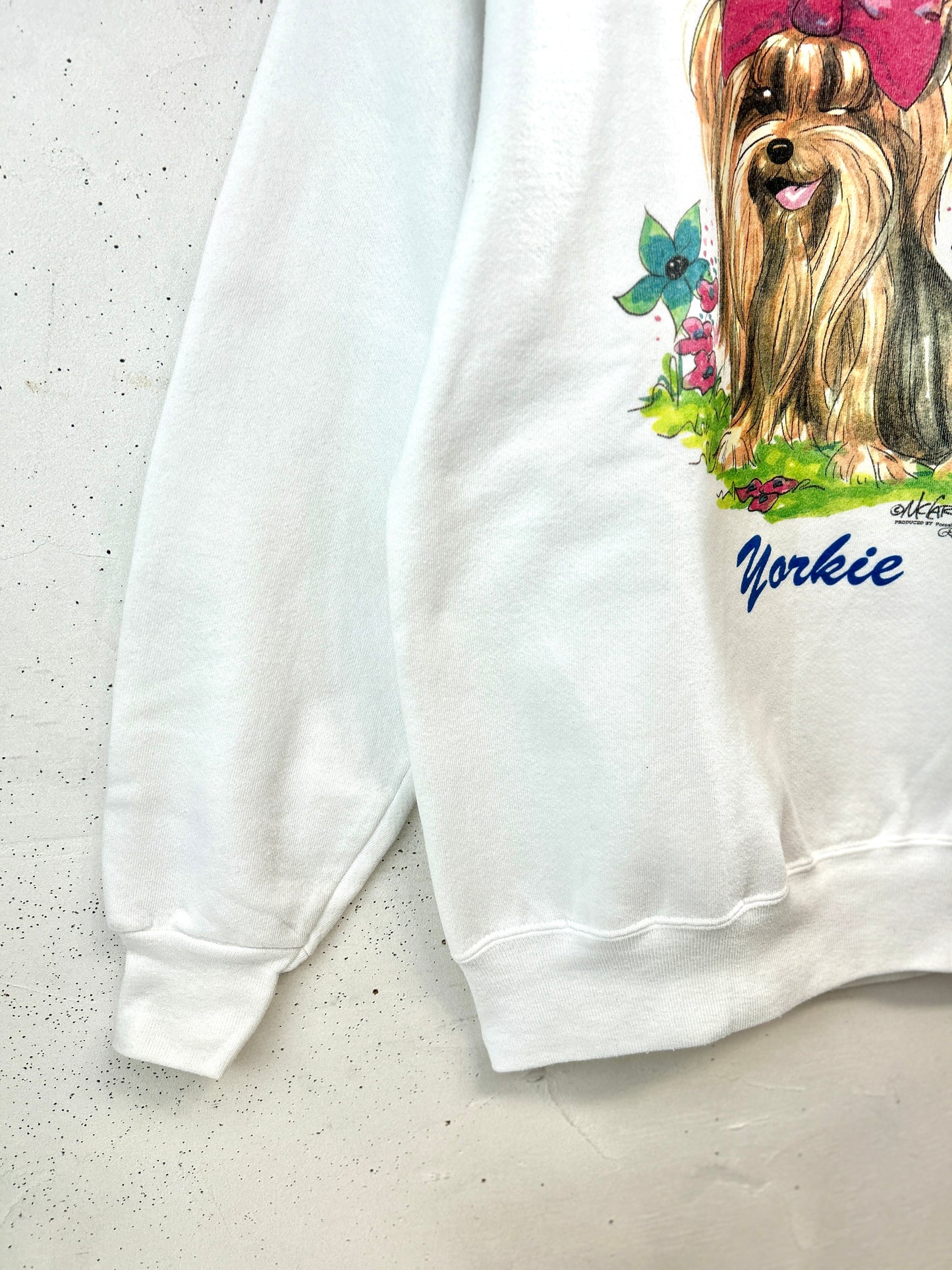 ’90s Vintage Sweat MADE IN USA 〜Hanes〜 [L31069]