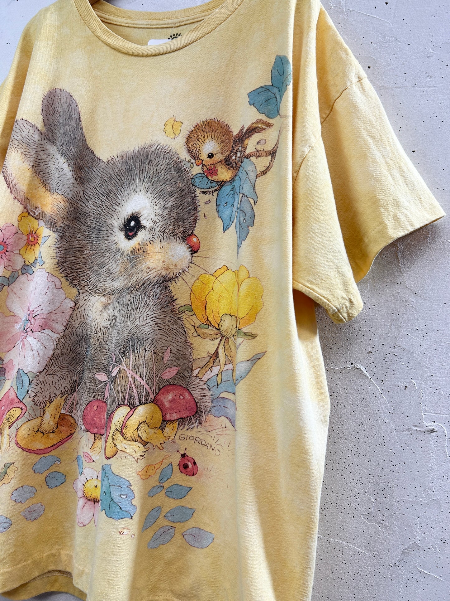Vintage T-Shirt 〜The Mountain〜 [G32906]