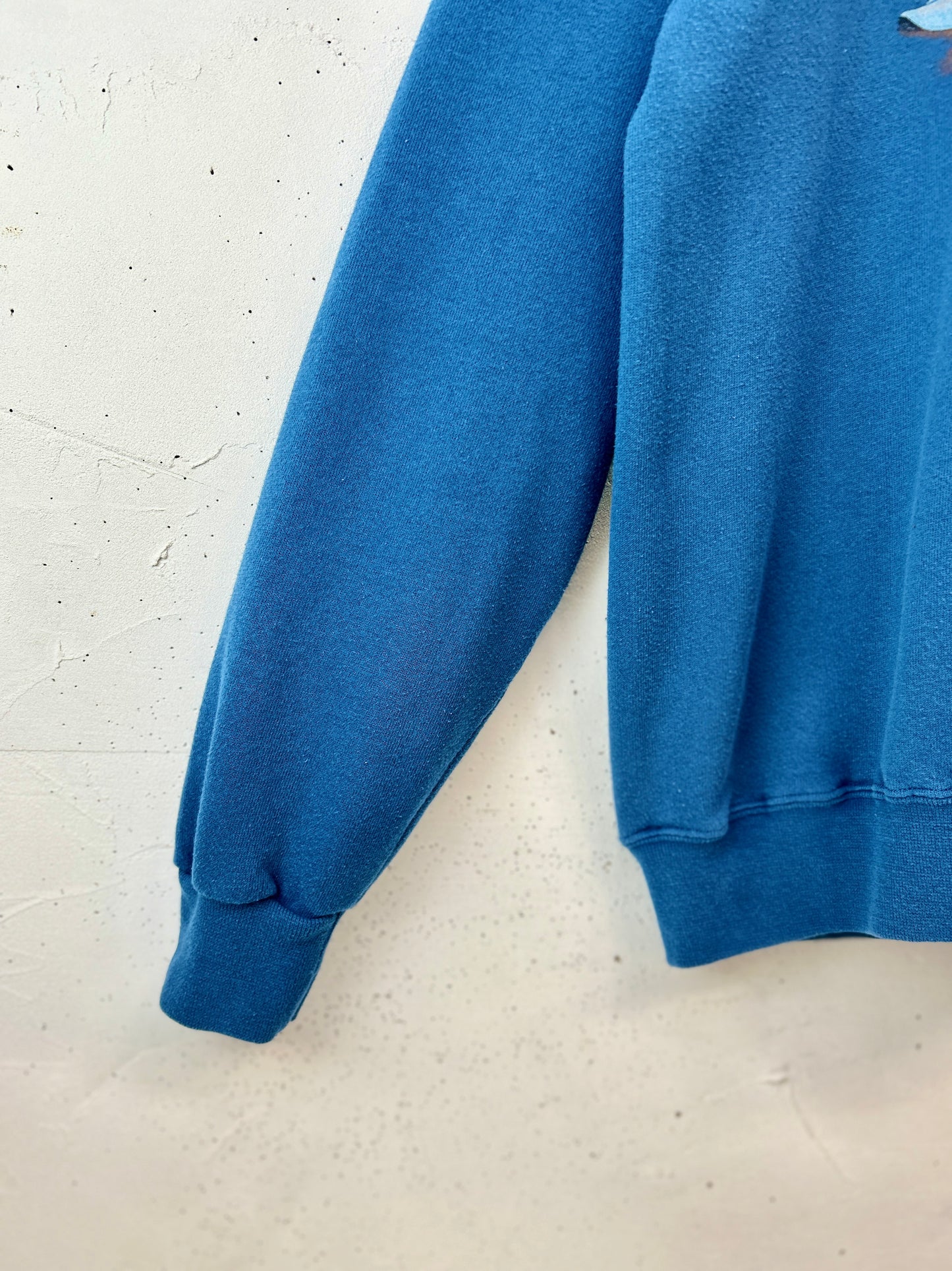 Vintage Sweat 〜Endless Designs〜 [B31567]