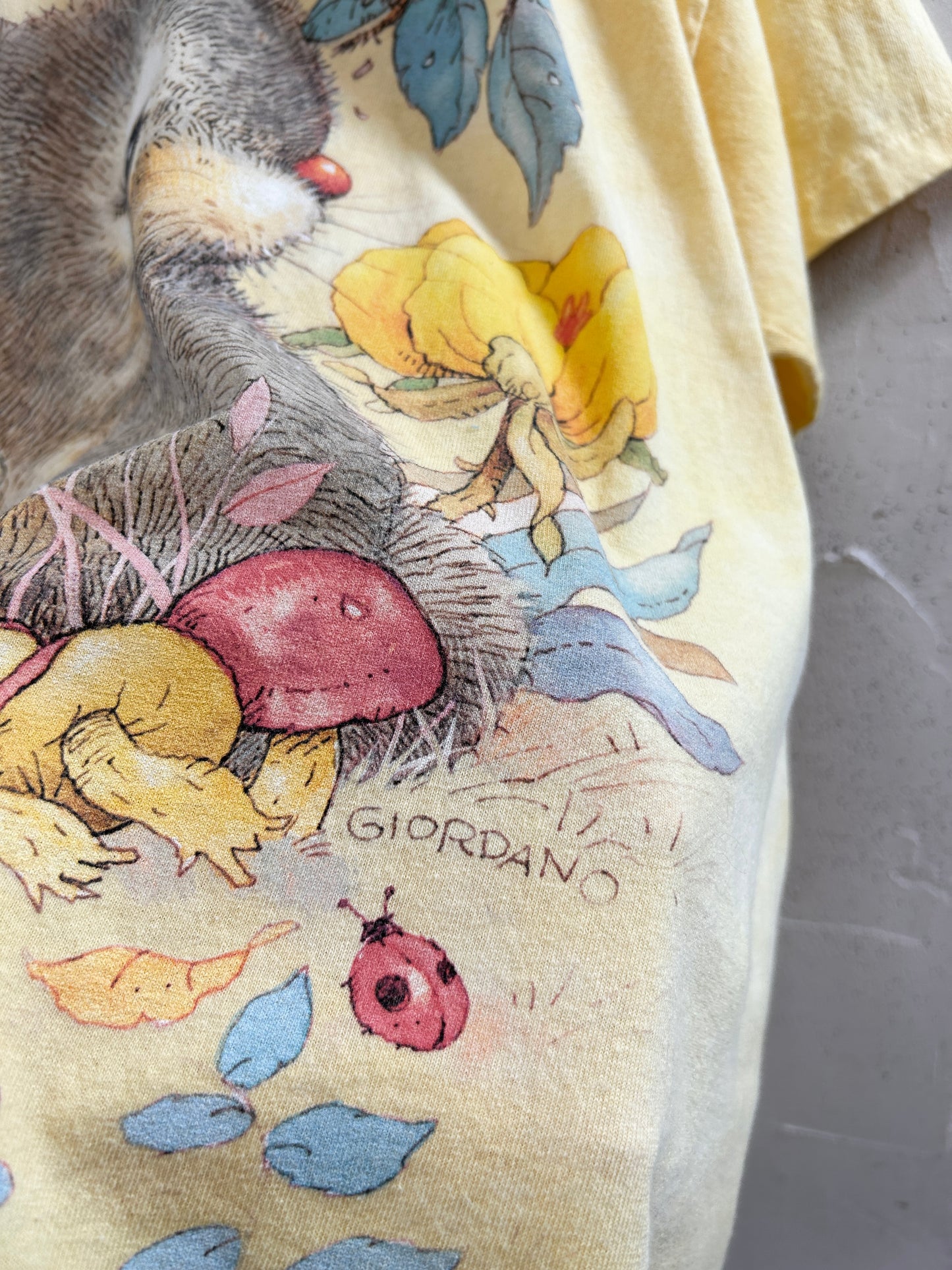 Vintage T-Shirt 〜The Mountain〜 [G32906]